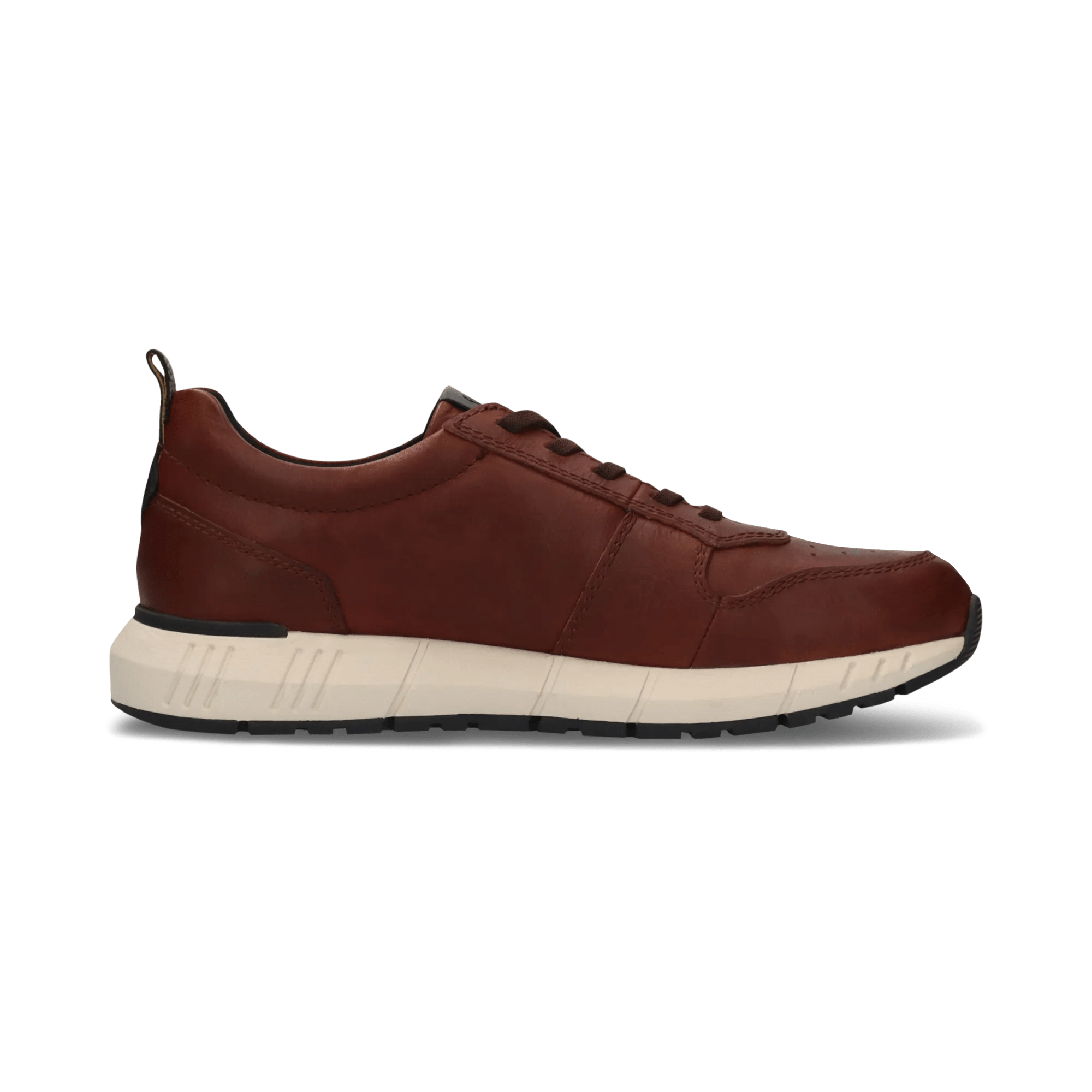 7/29/2025 6:23:46 AM