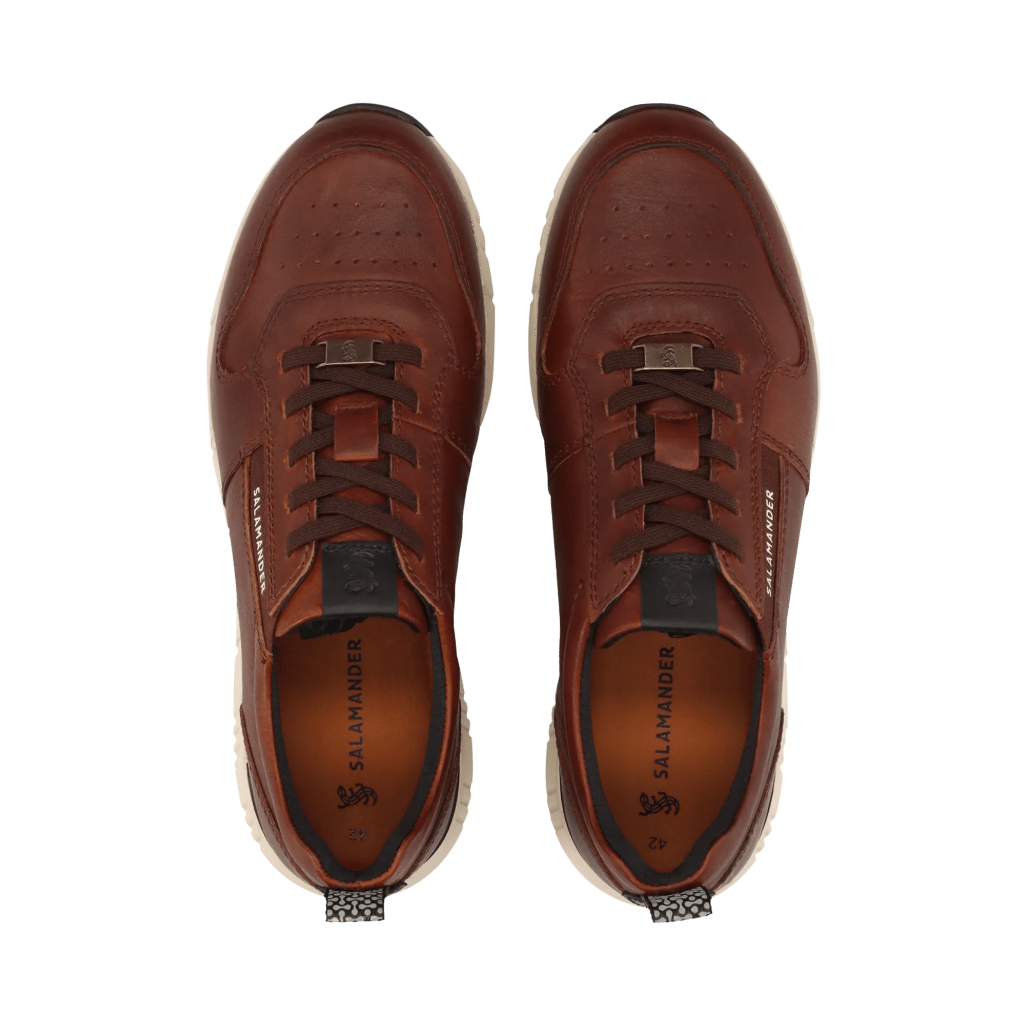 7/29/2025 6:23:46 AM