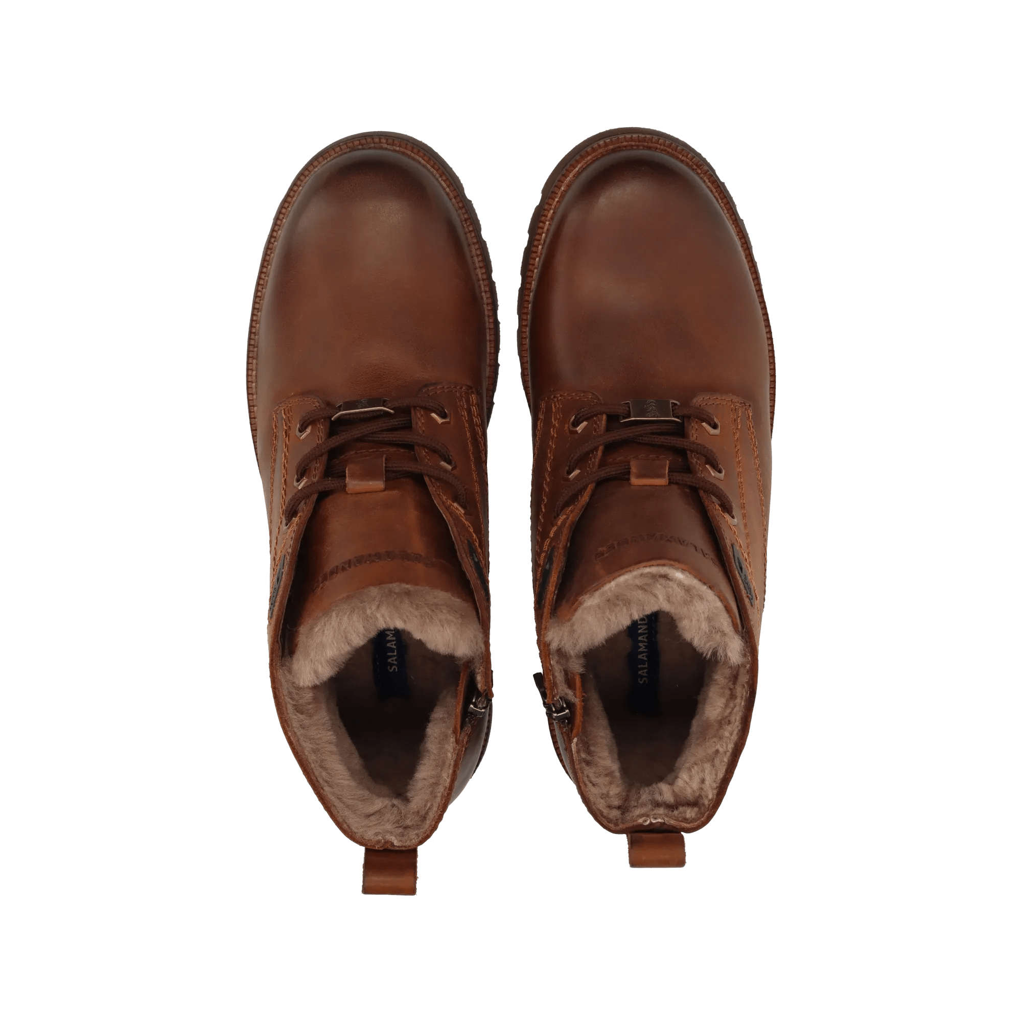 7/29/2025 6:23:46 AM