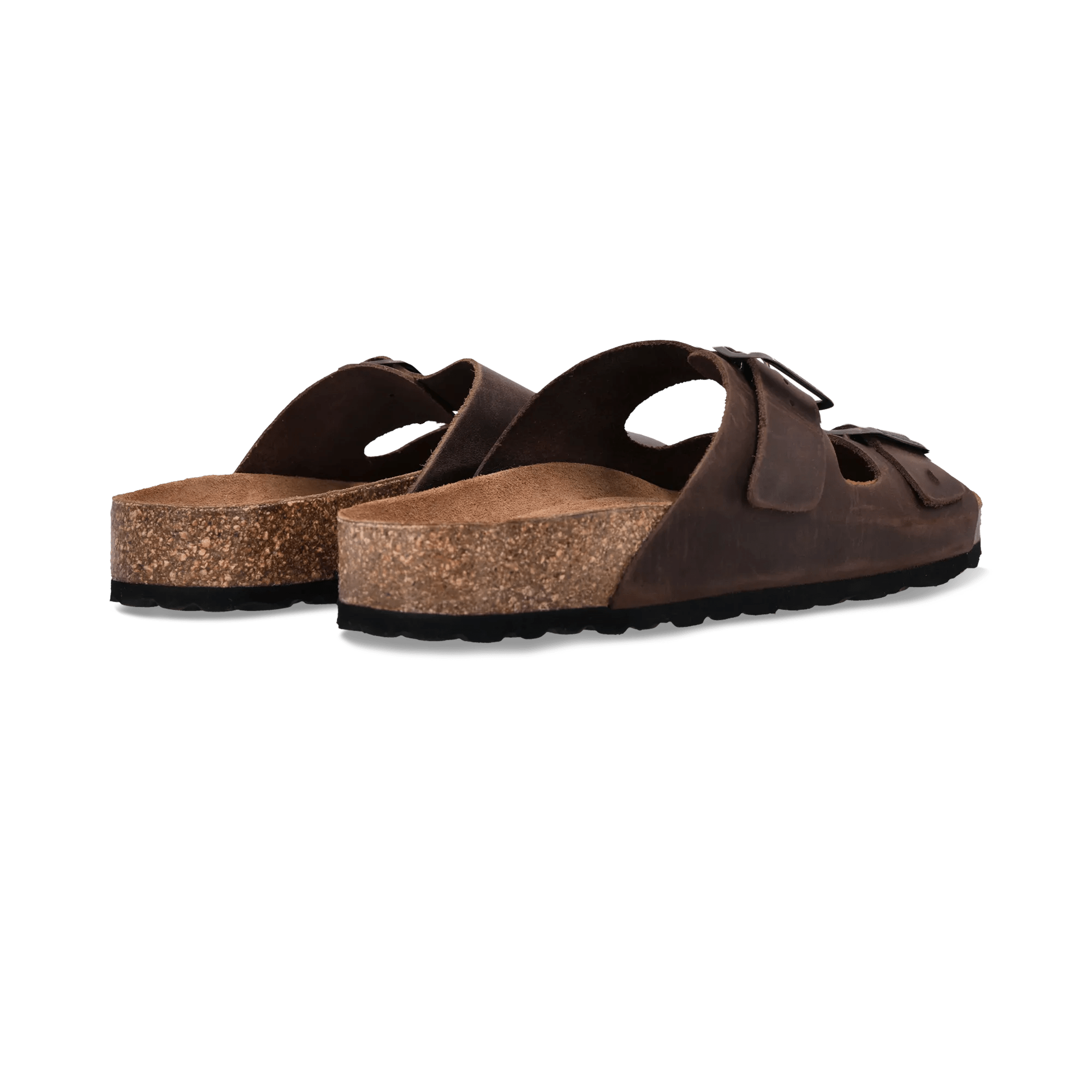 1/29/2026 11:07:05 AM