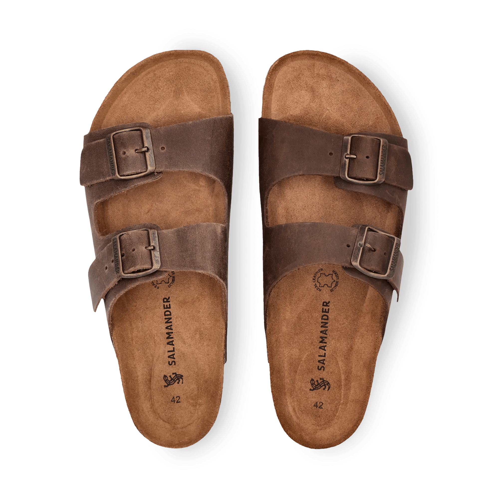 1/29/2026 11:07:05 AM