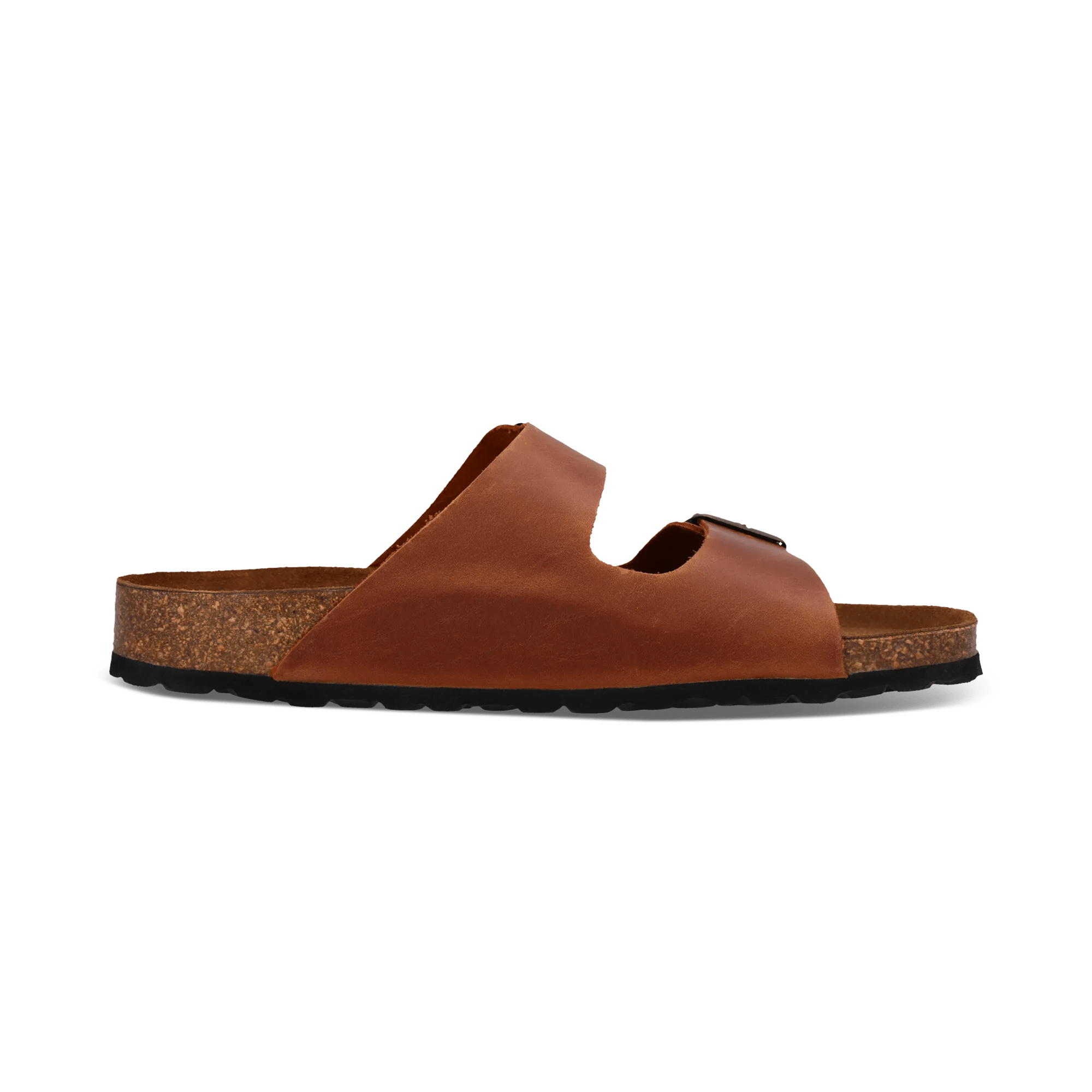 1/29/2026 11:07:04 AM