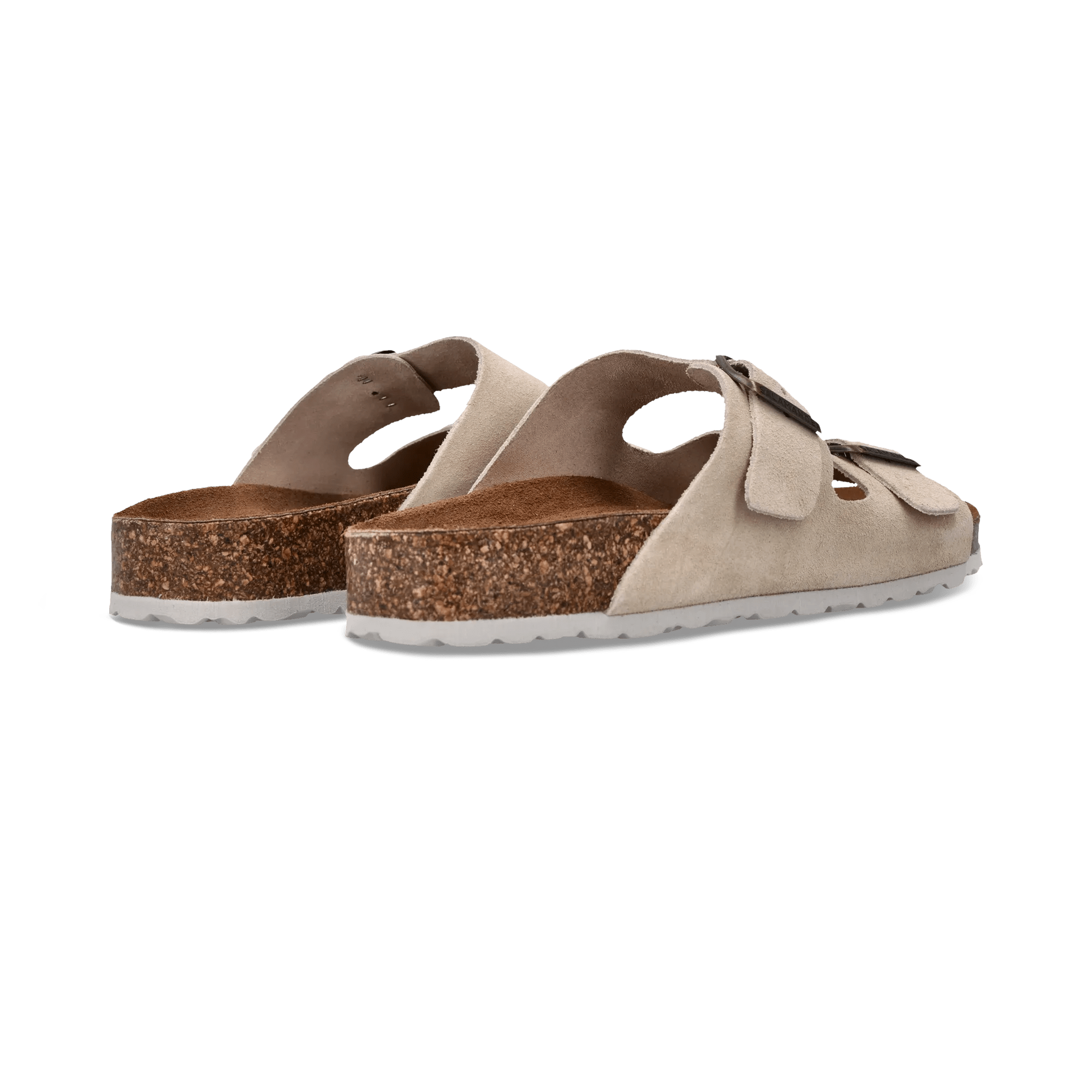 1/26/2026 10:44:31 AM