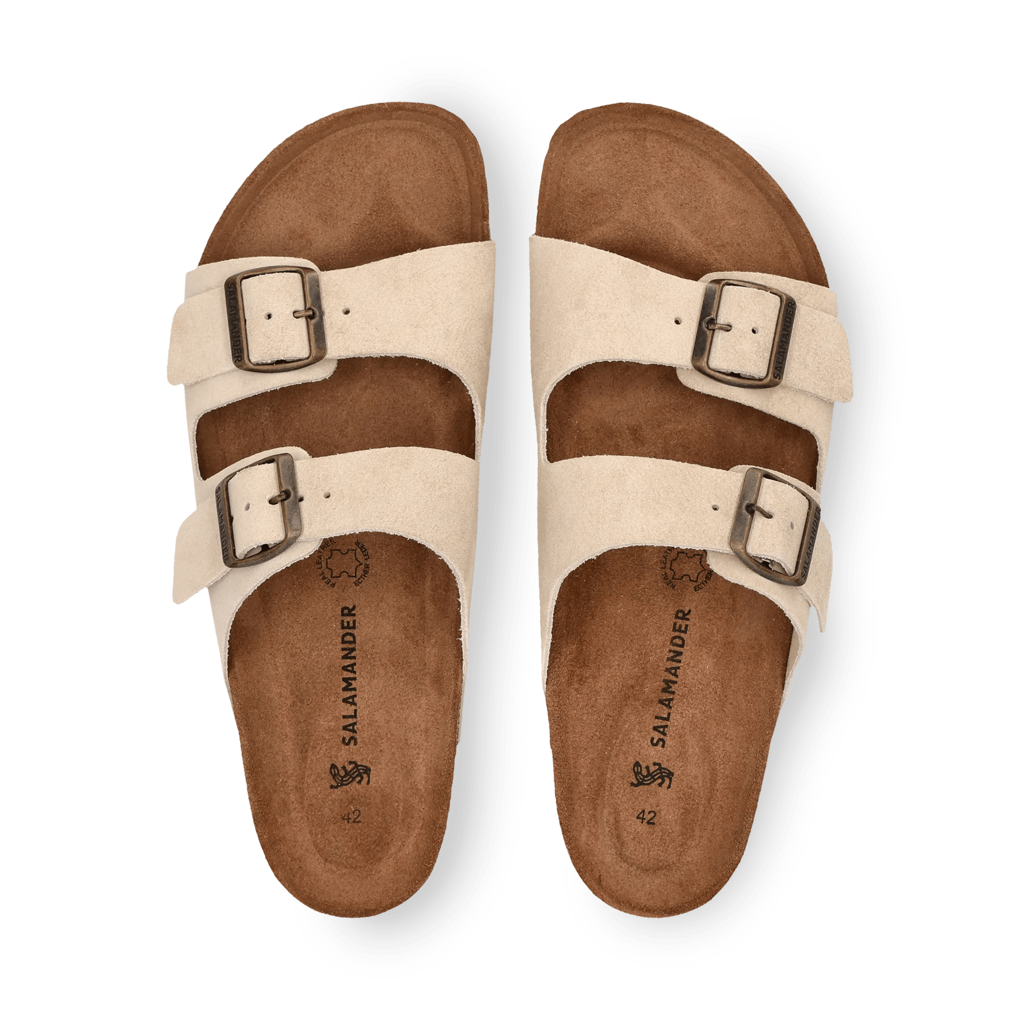 1/26/2026 10:44:31 AM