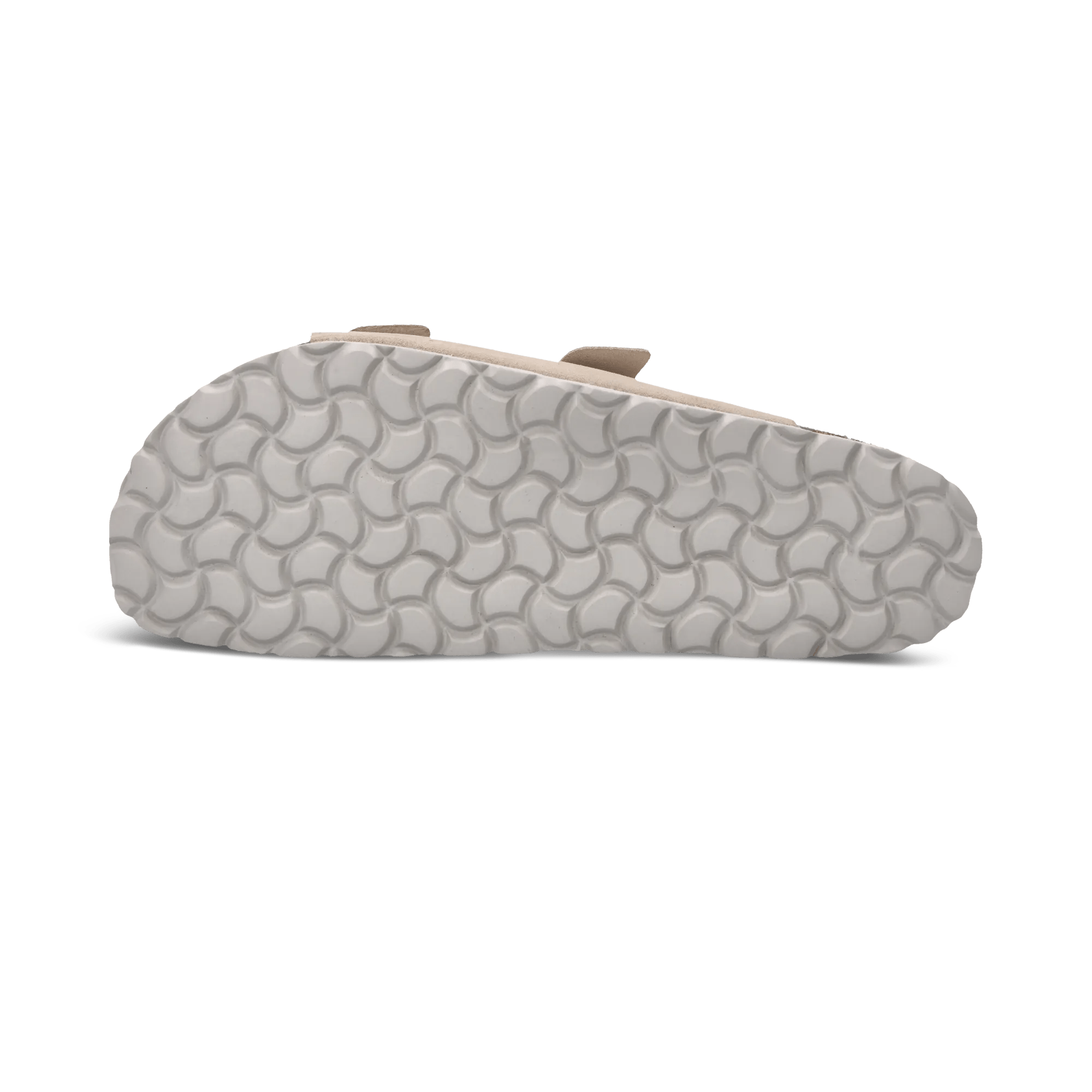 1/26/2026 10:44:31 AM