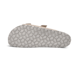 1/26/2026 10:44:31 AM