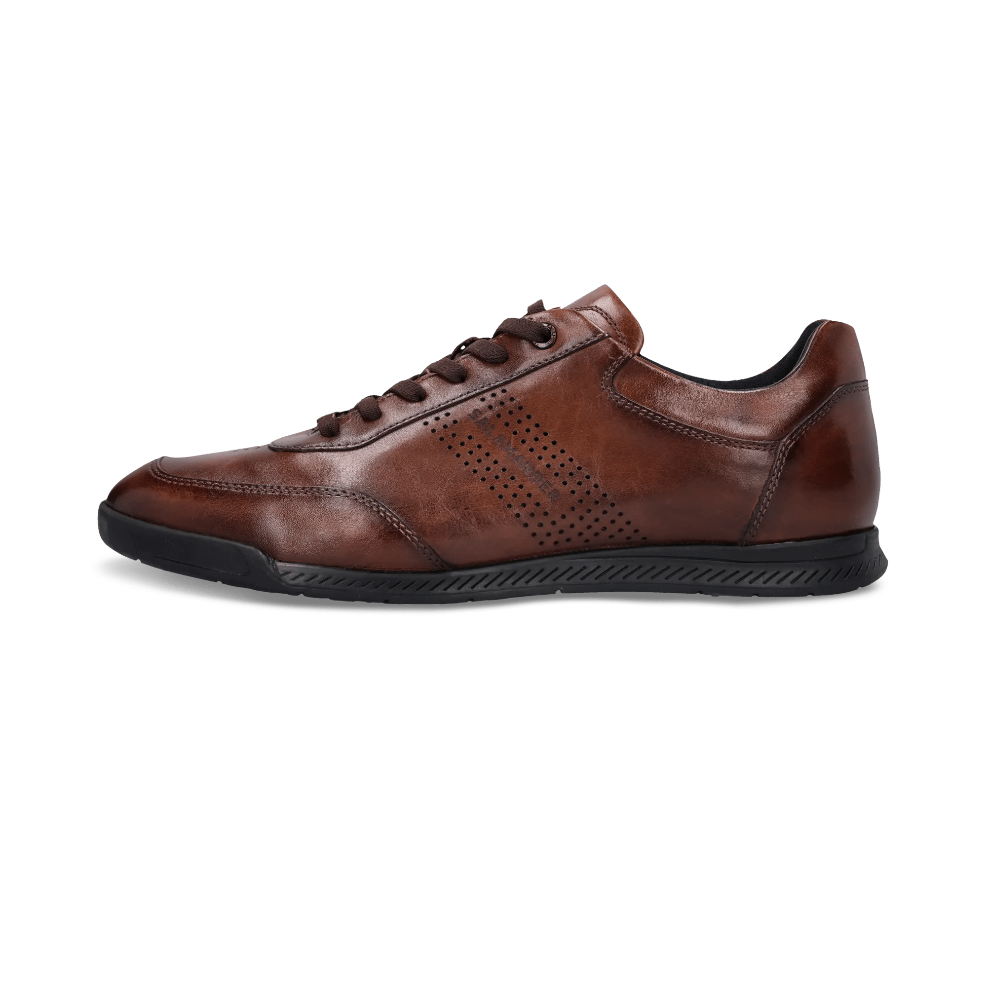 1/26/2026 10:44:31 AM