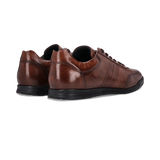 1/26/2026 10:44:31 AM