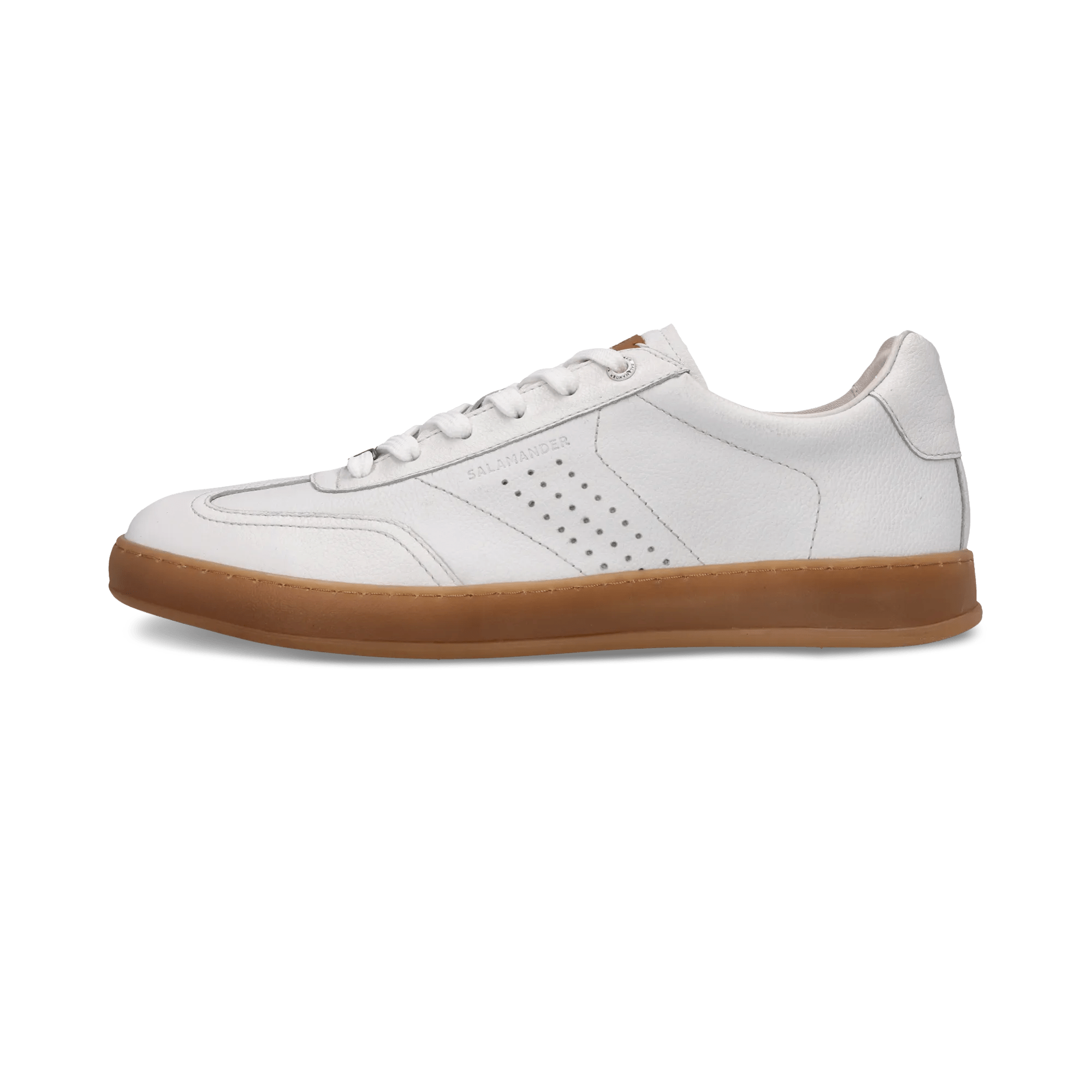 2/25/2026 11:37:55 AM