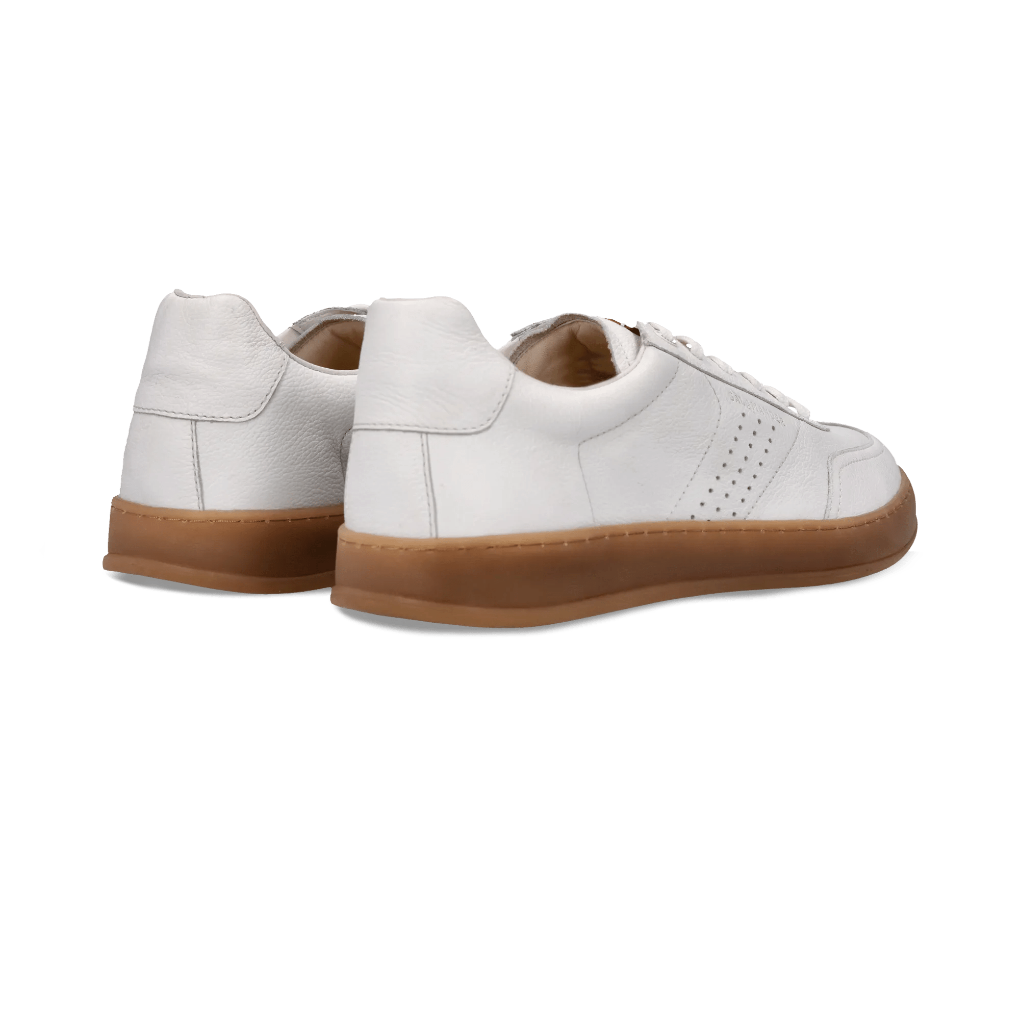 2/25/2026 11:37:55 AM