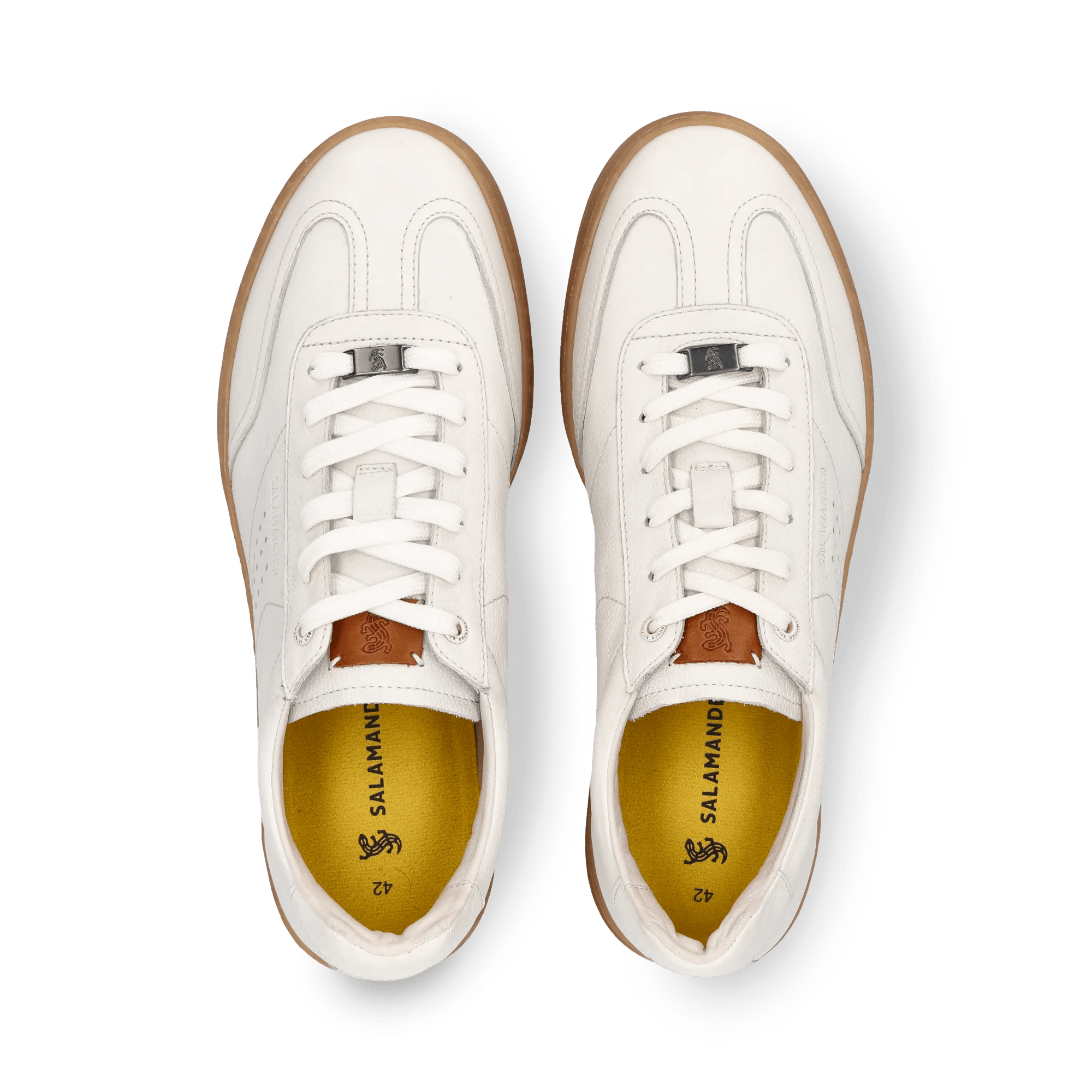 2/25/2026 11:37:55 AM