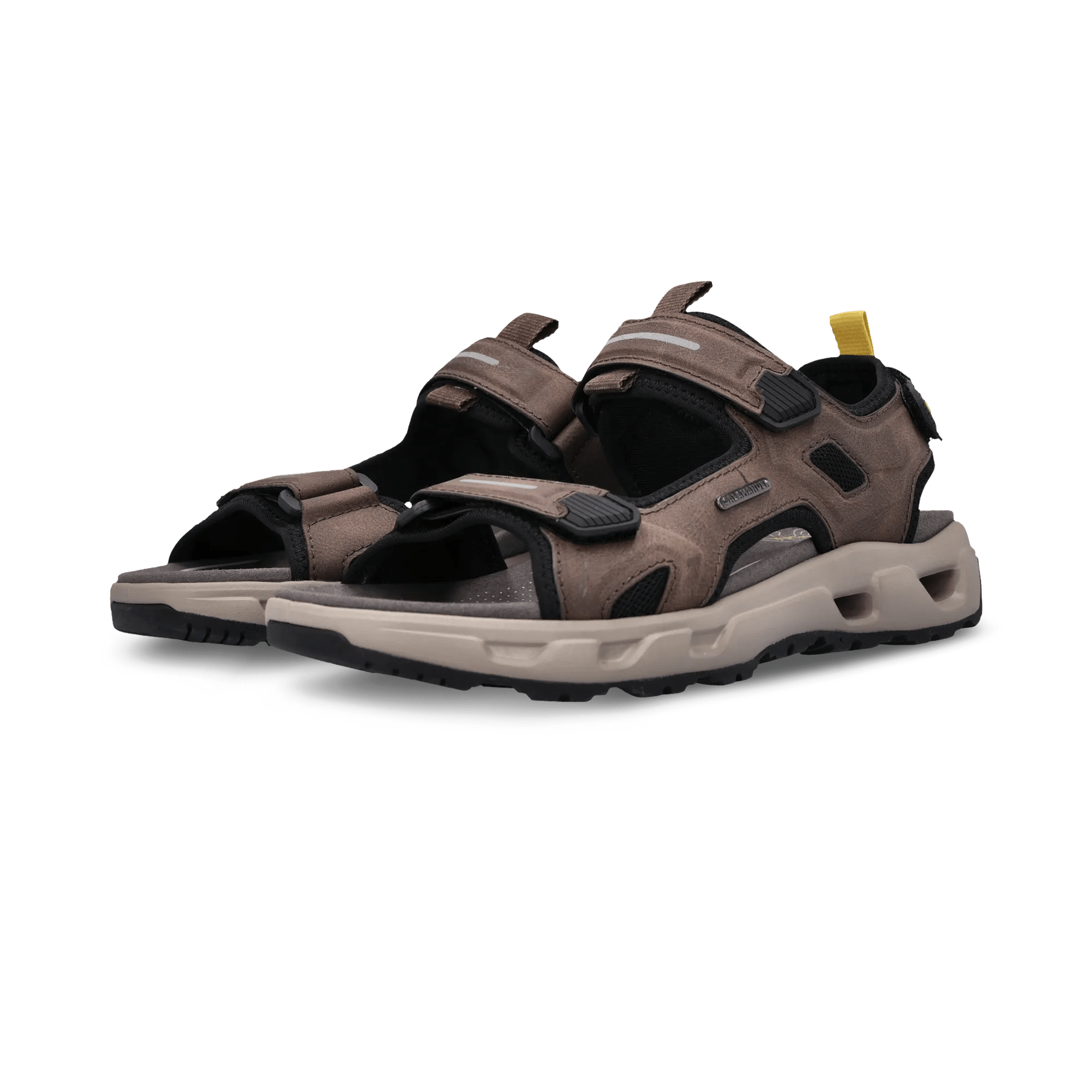 1/26/2026 10:44:32 AM