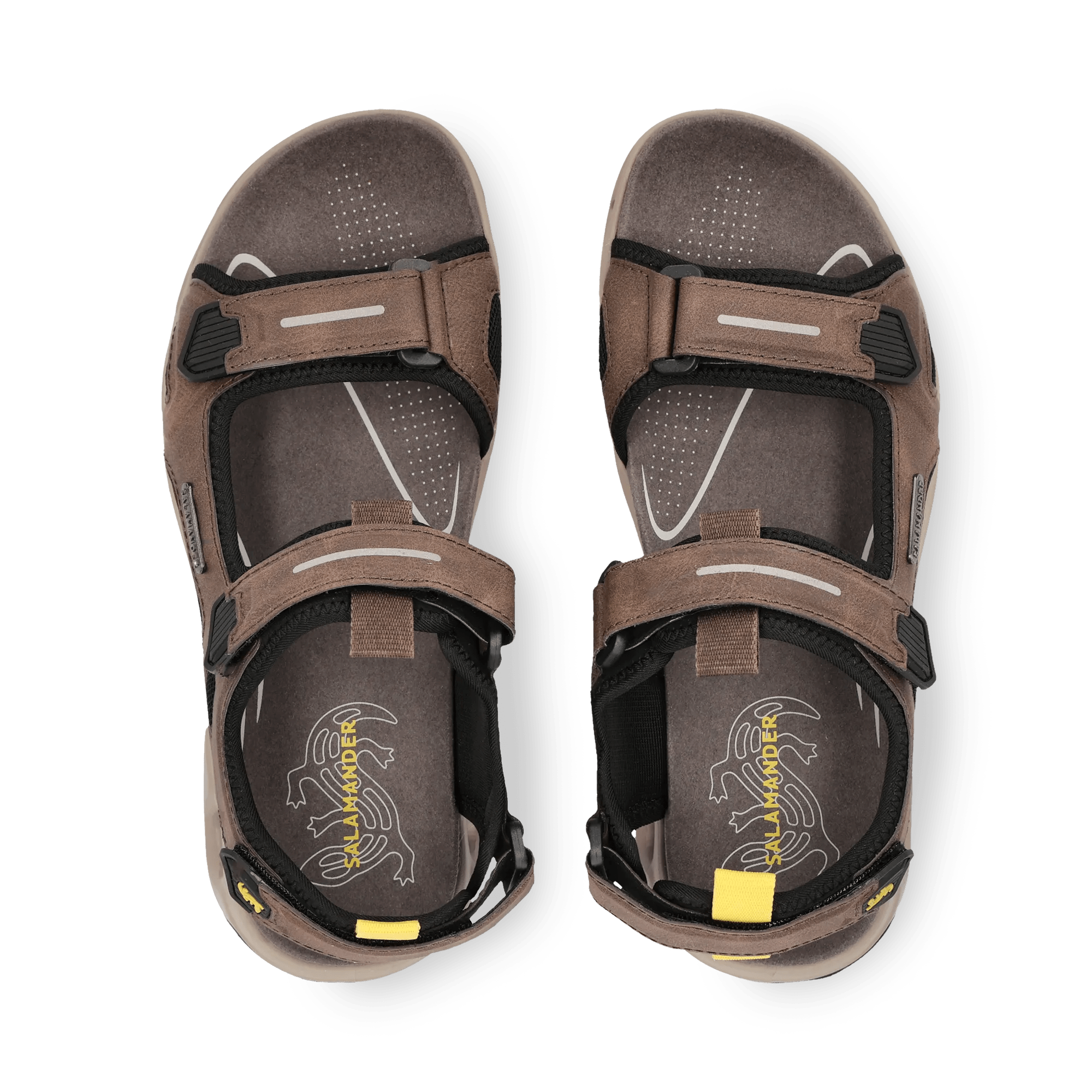 1/26/2026 10:44:32 AM