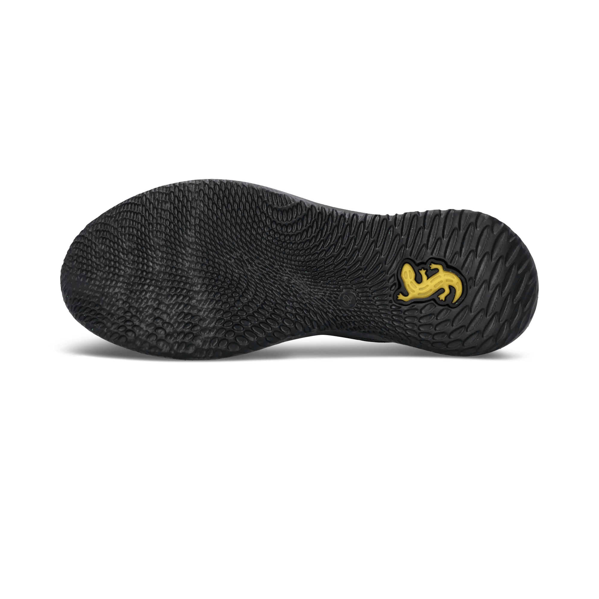 1/26/2026 10:44:33 AM