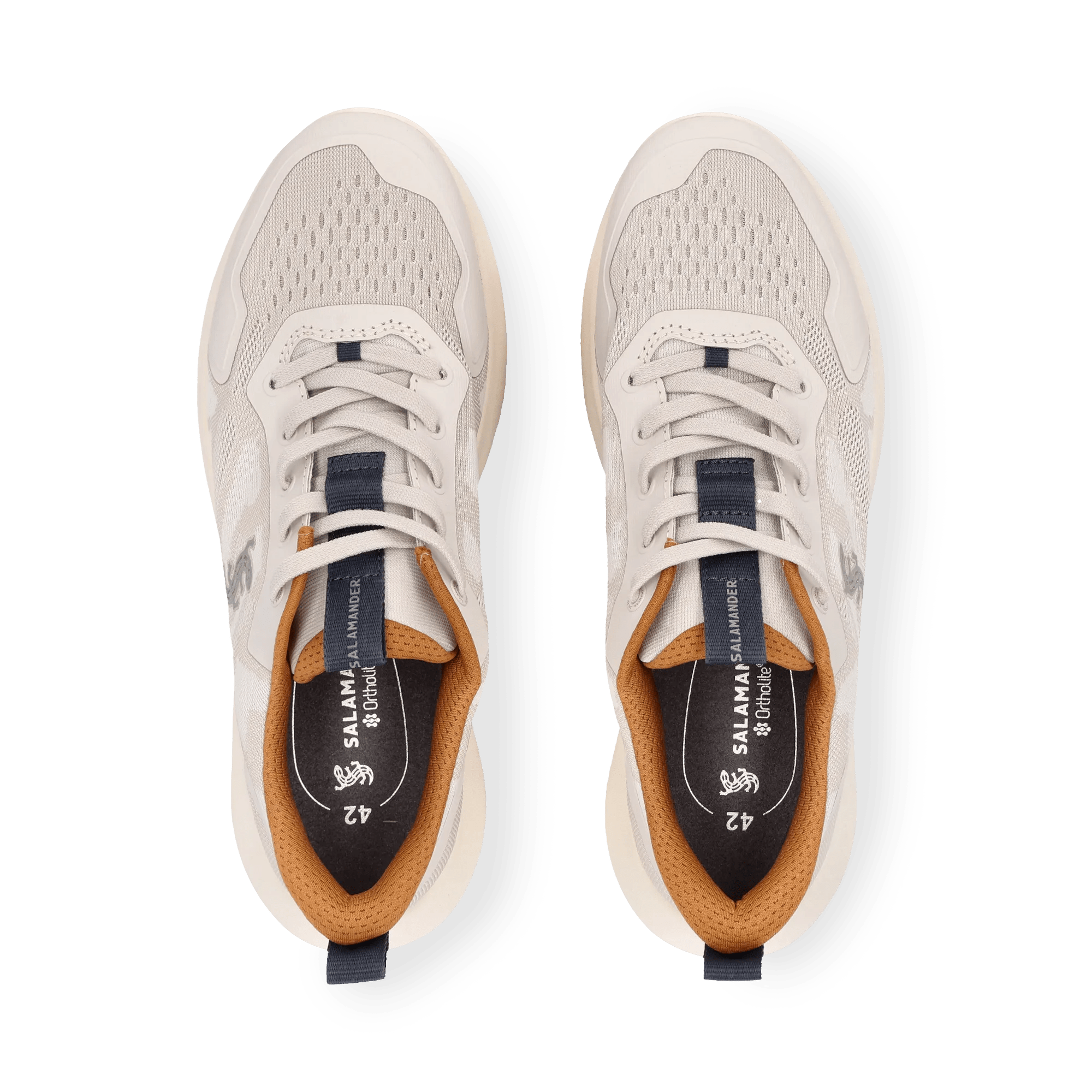 1/26/2026 10:44:34 AM