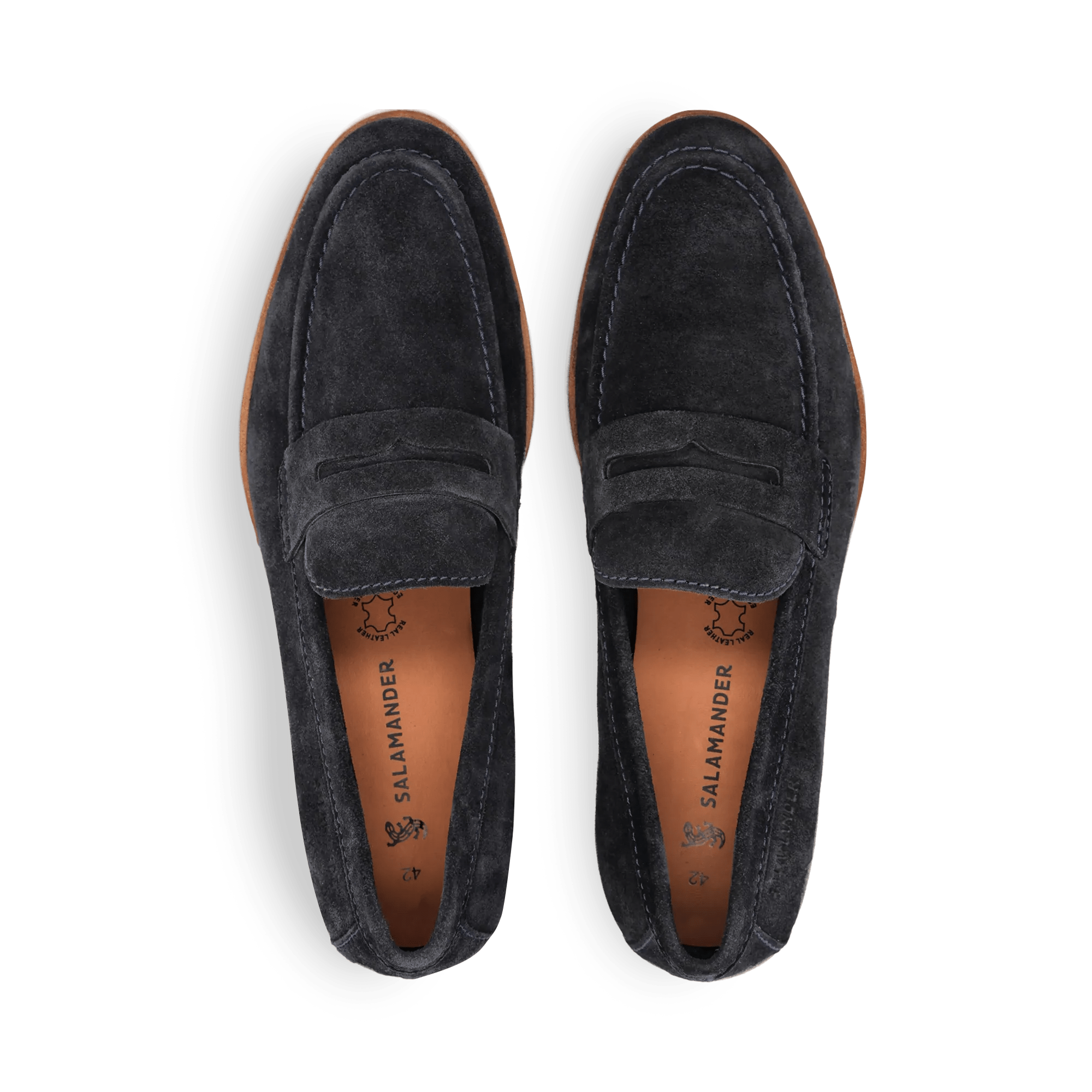 1/23/2026 9:23:13 AM