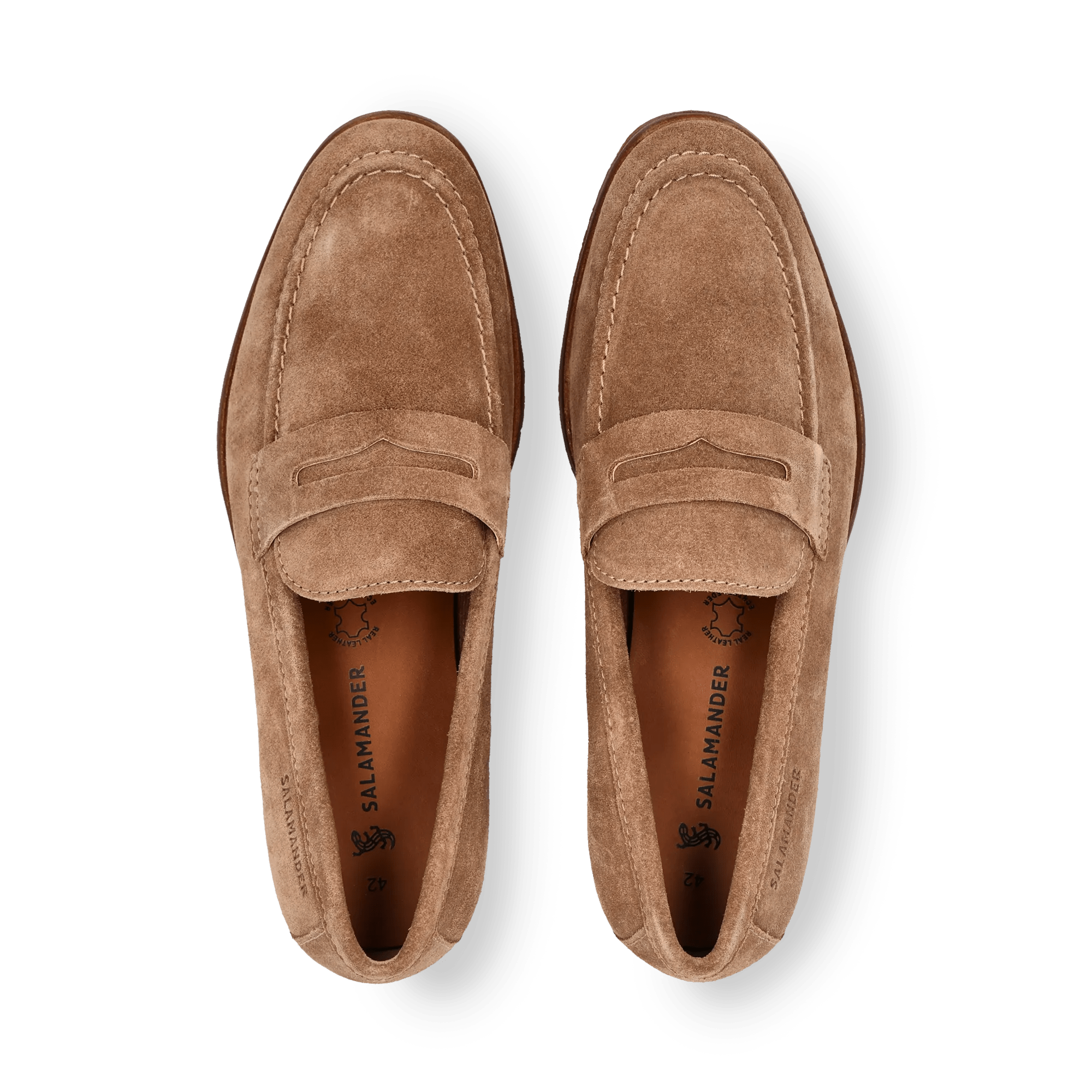 1/23/2026 9:23:14 AM