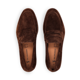 1/21/2026 10:09:09 AM