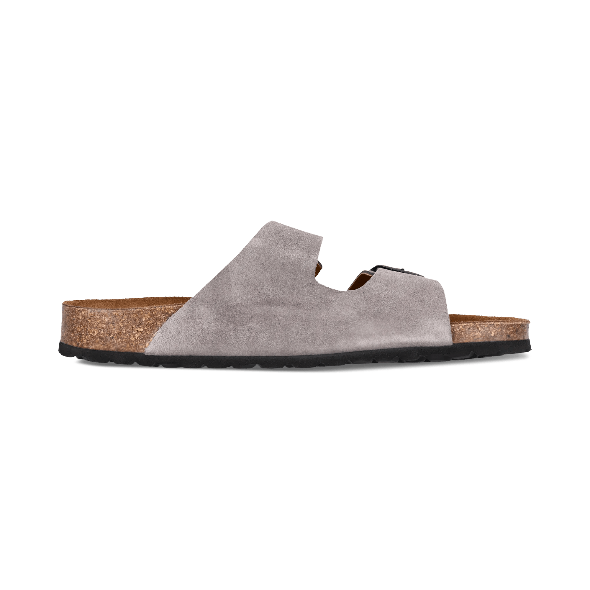 2/25/2026 8:49:36 AM