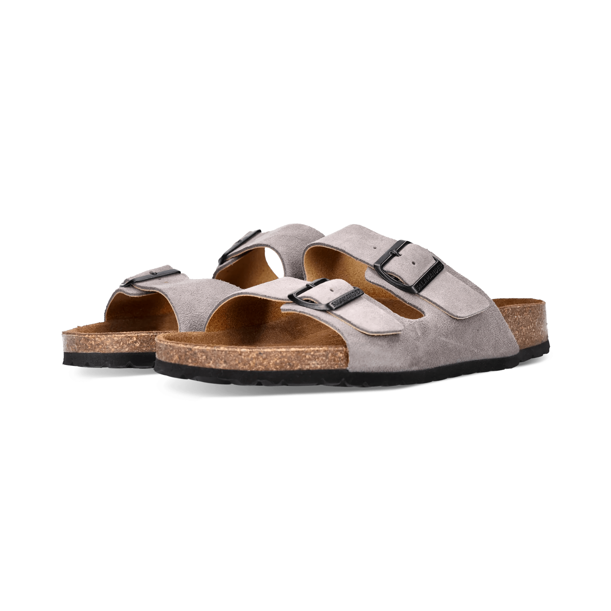 2/25/2026 8:49:36 AM