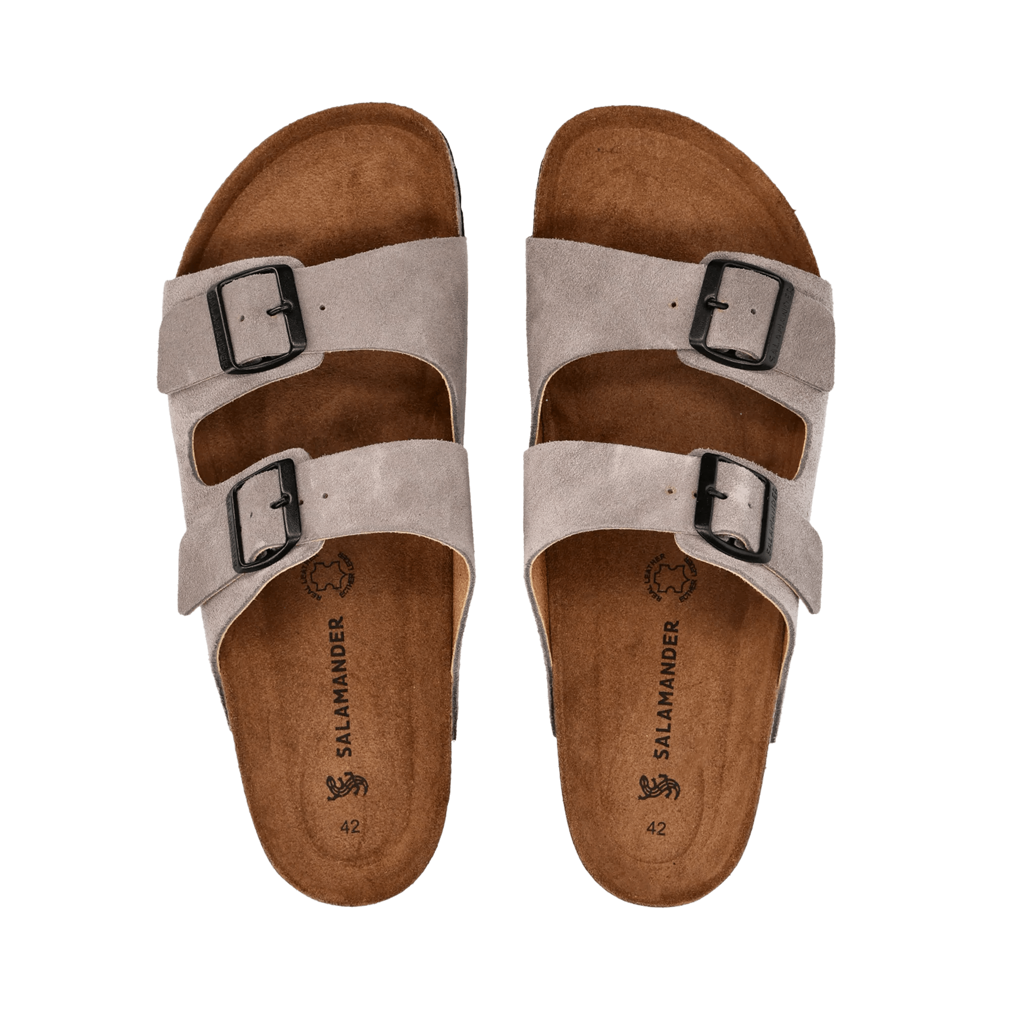 2/25/2026 8:49:36 AM