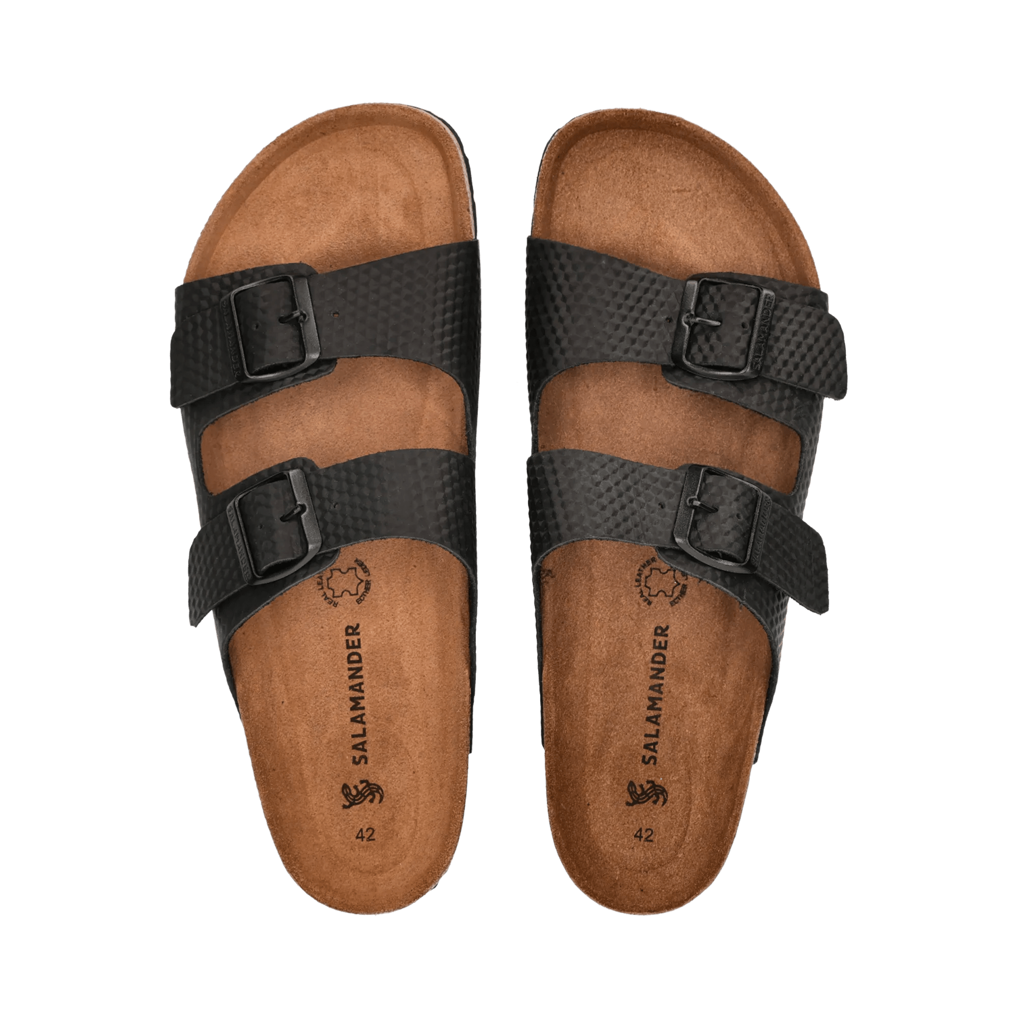 2/25/2026 8:49:38 AM