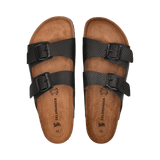 2/25/2026 8:49:38 AM