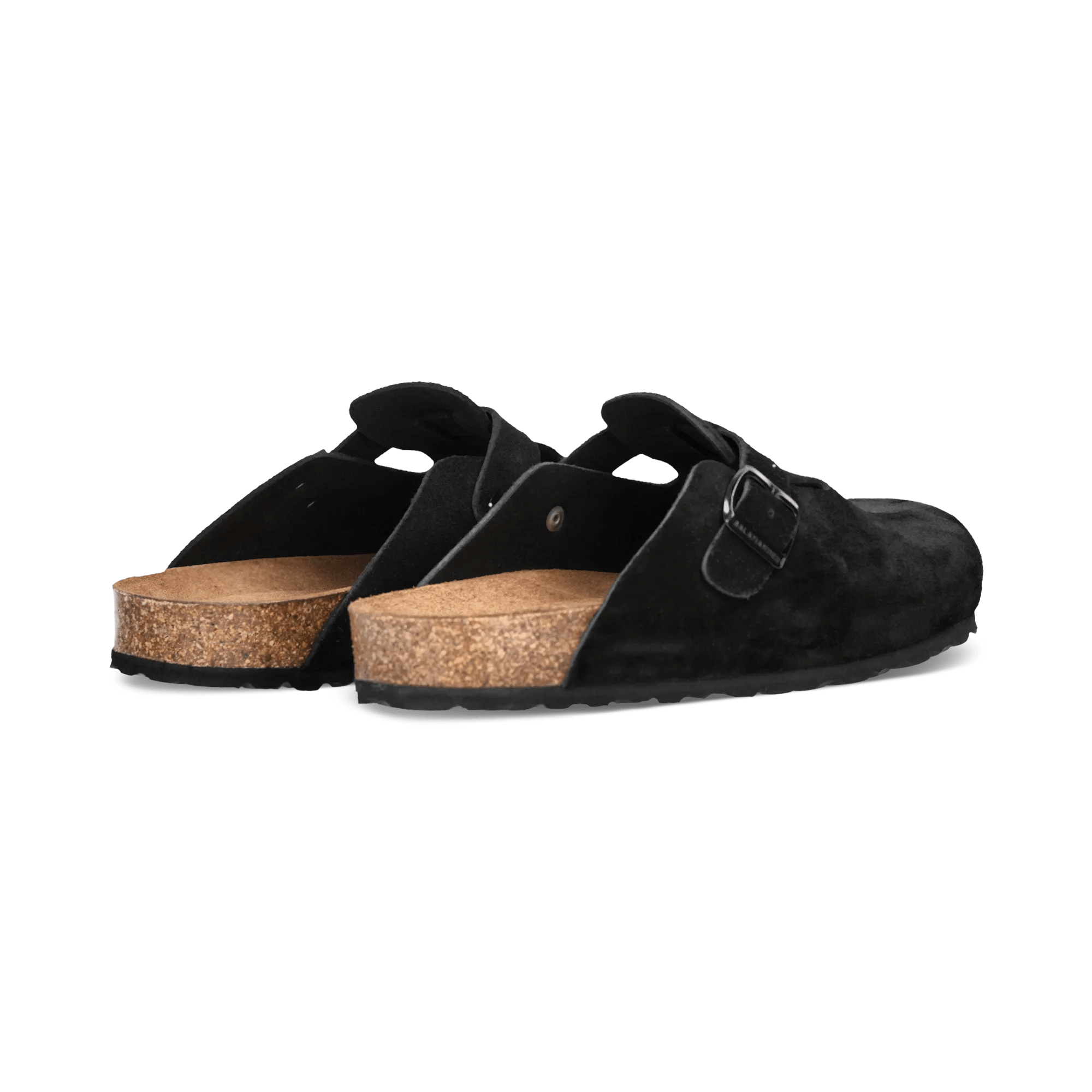 2/25/2026 8:49:37 AM