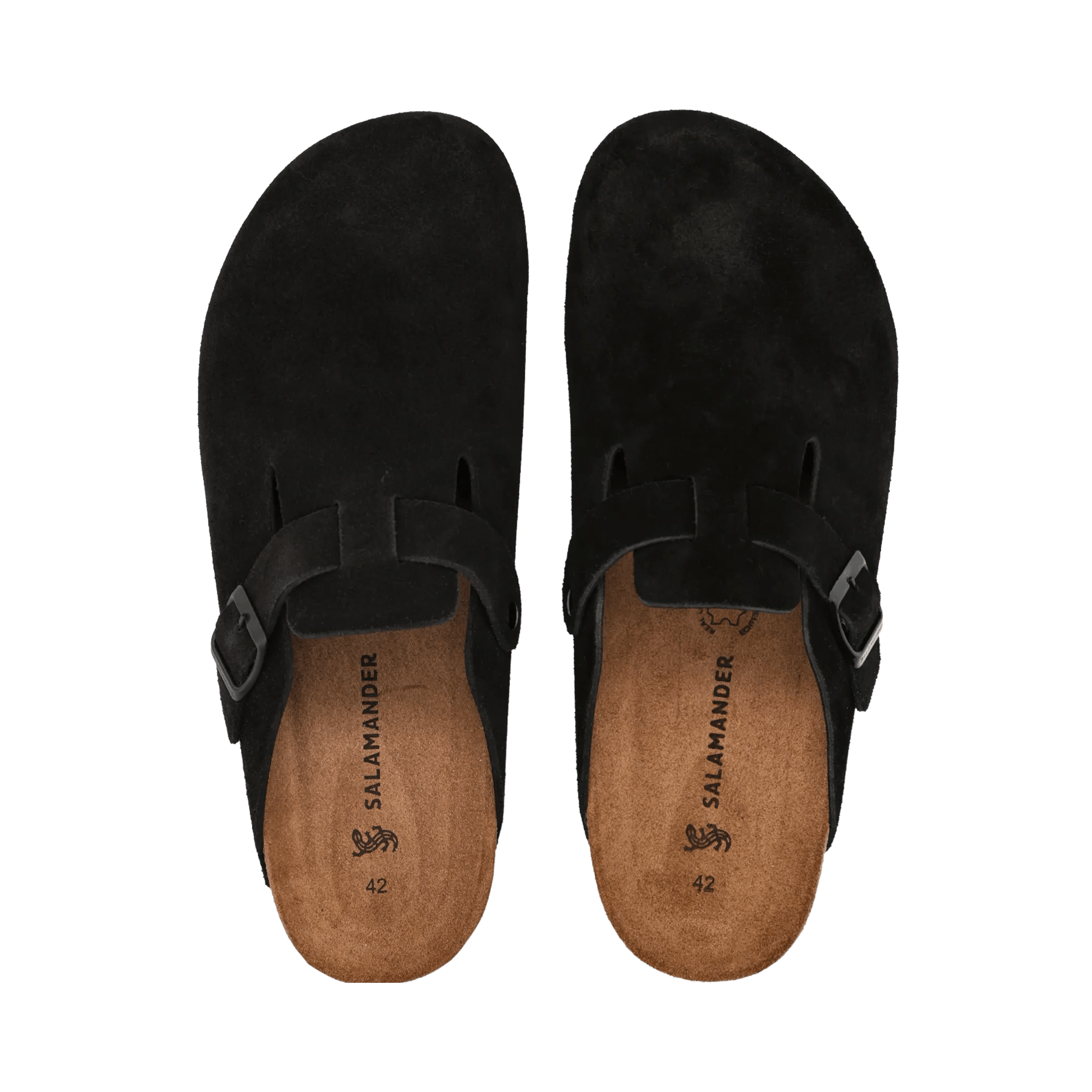 2/25/2026 8:49:37 AM