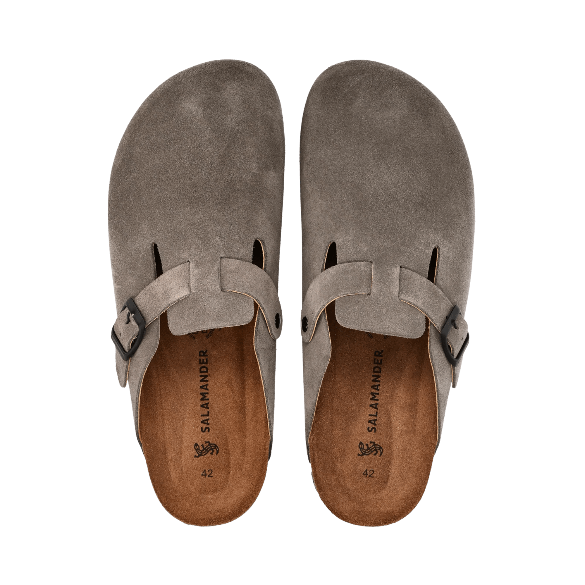 2/25/2026 8:49:40 AM