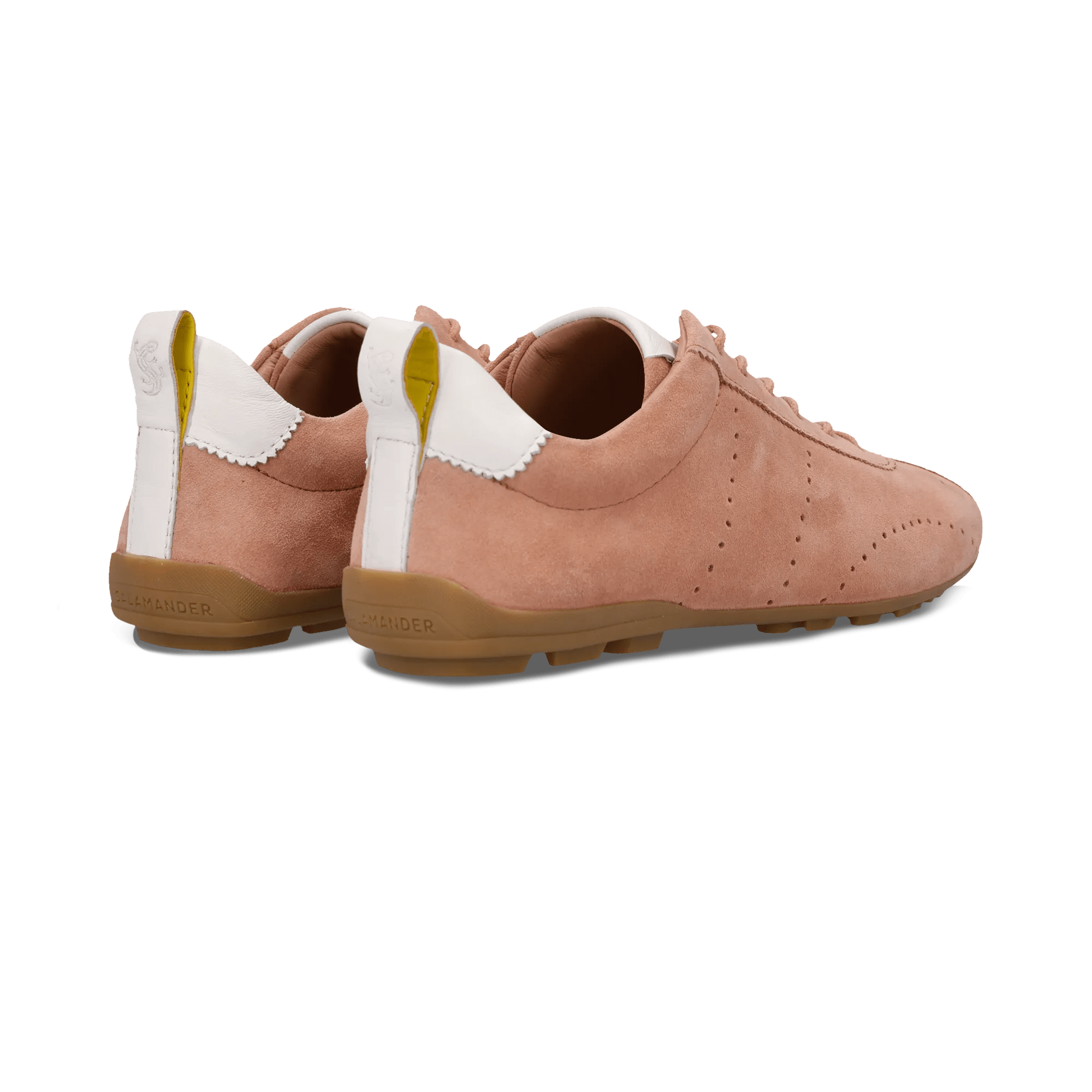 1/23/2026 9:23:17 AM