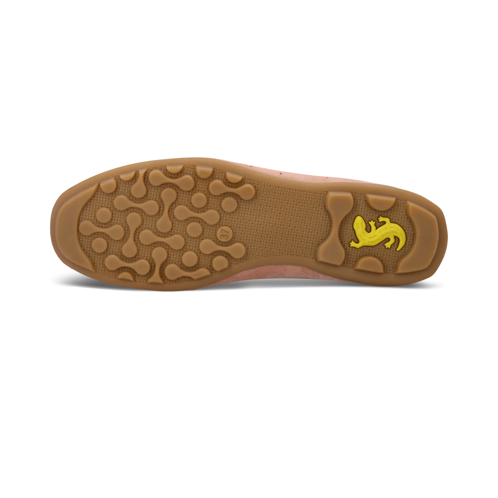 1/23/2026 9:23:17 AM