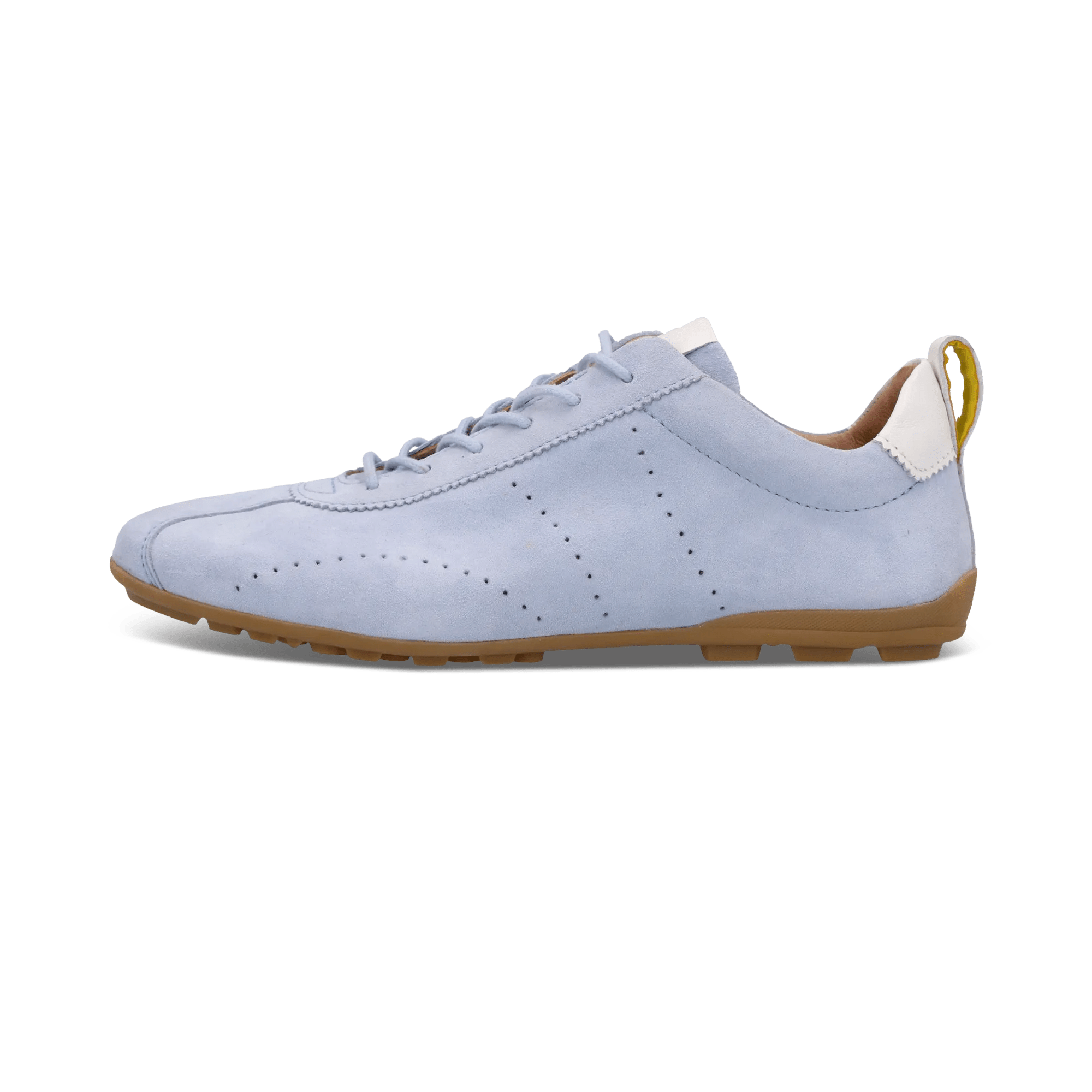 1/23/2026 9:23:16 AM