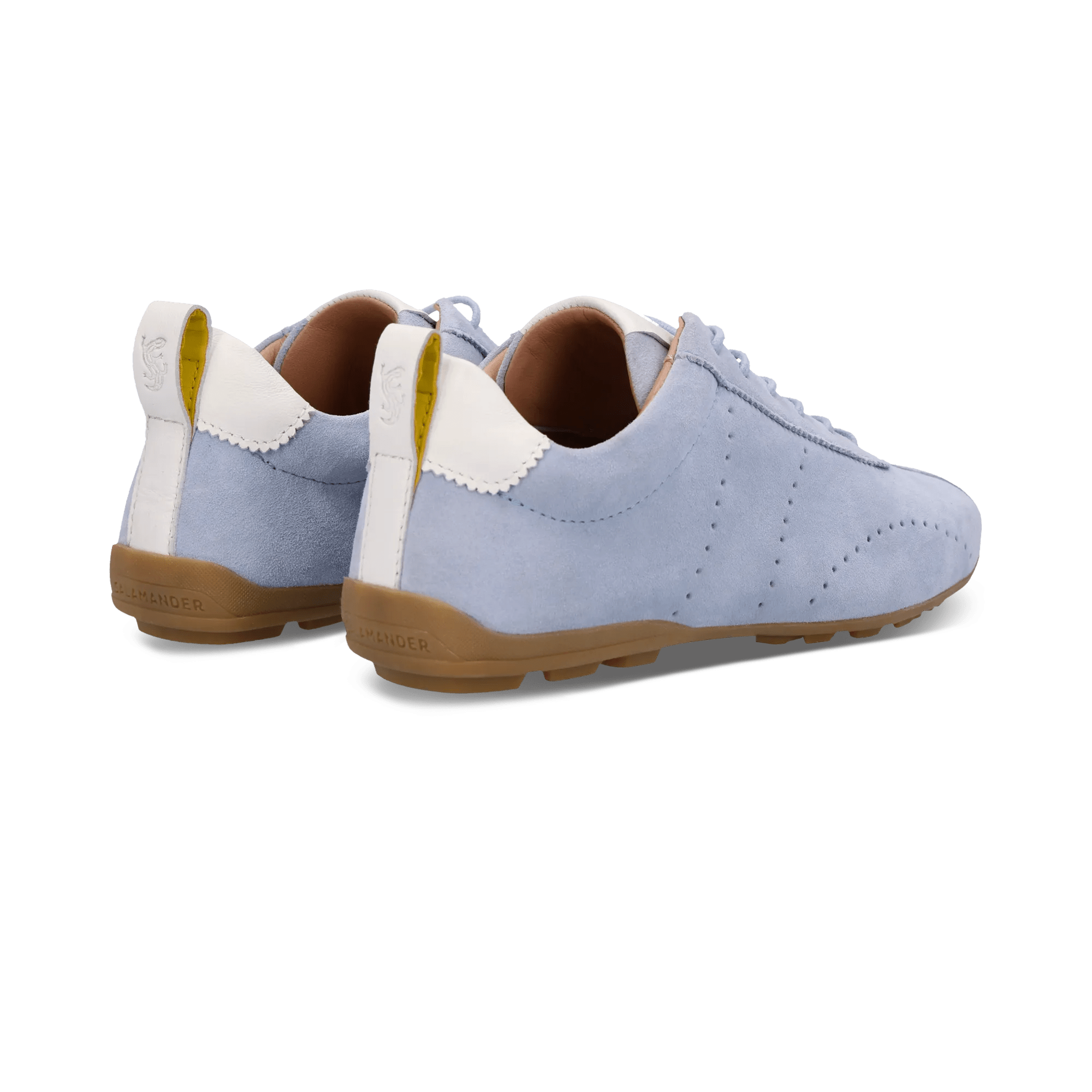 1/23/2026 9:23:16 AM