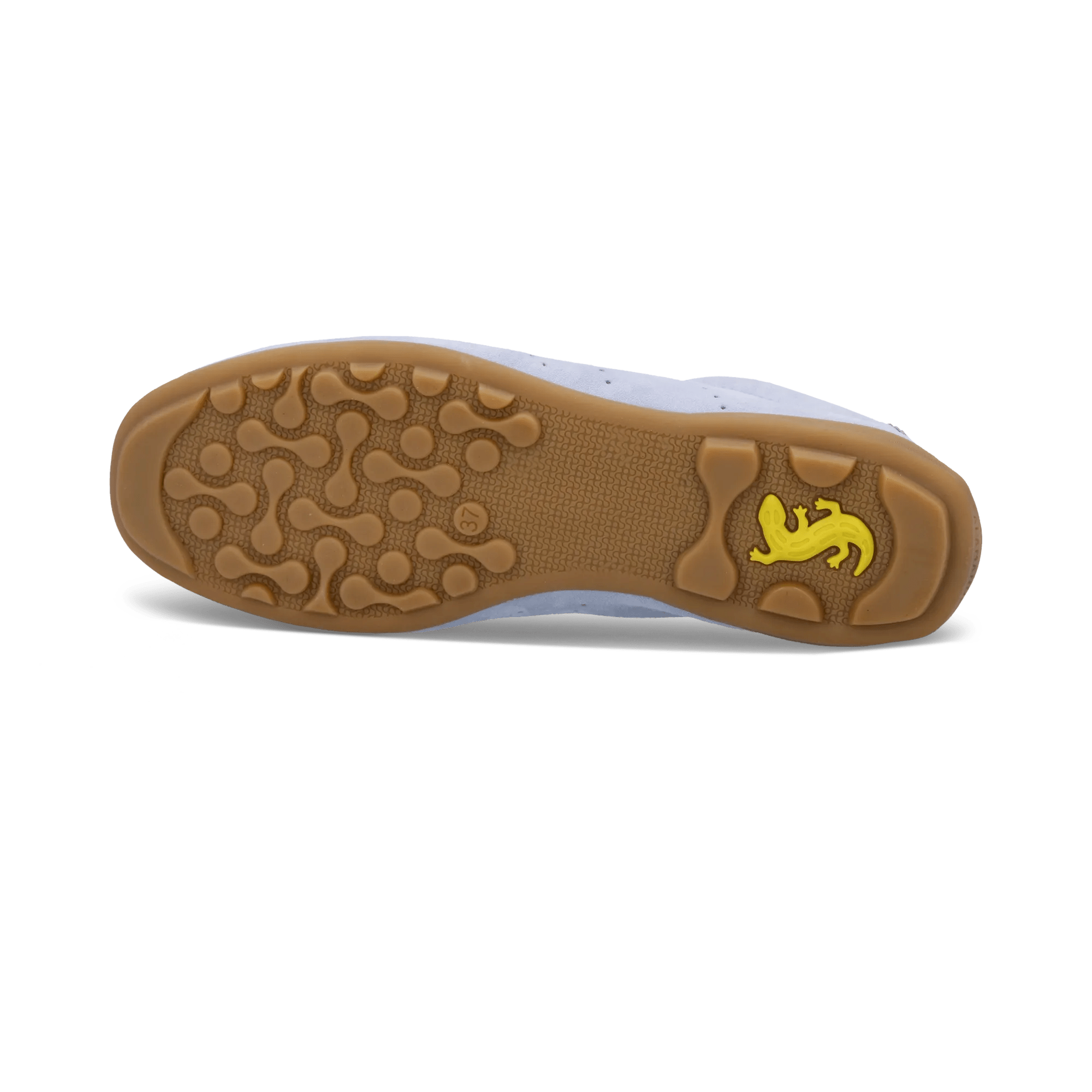 1/23/2026 9:23:16 AM