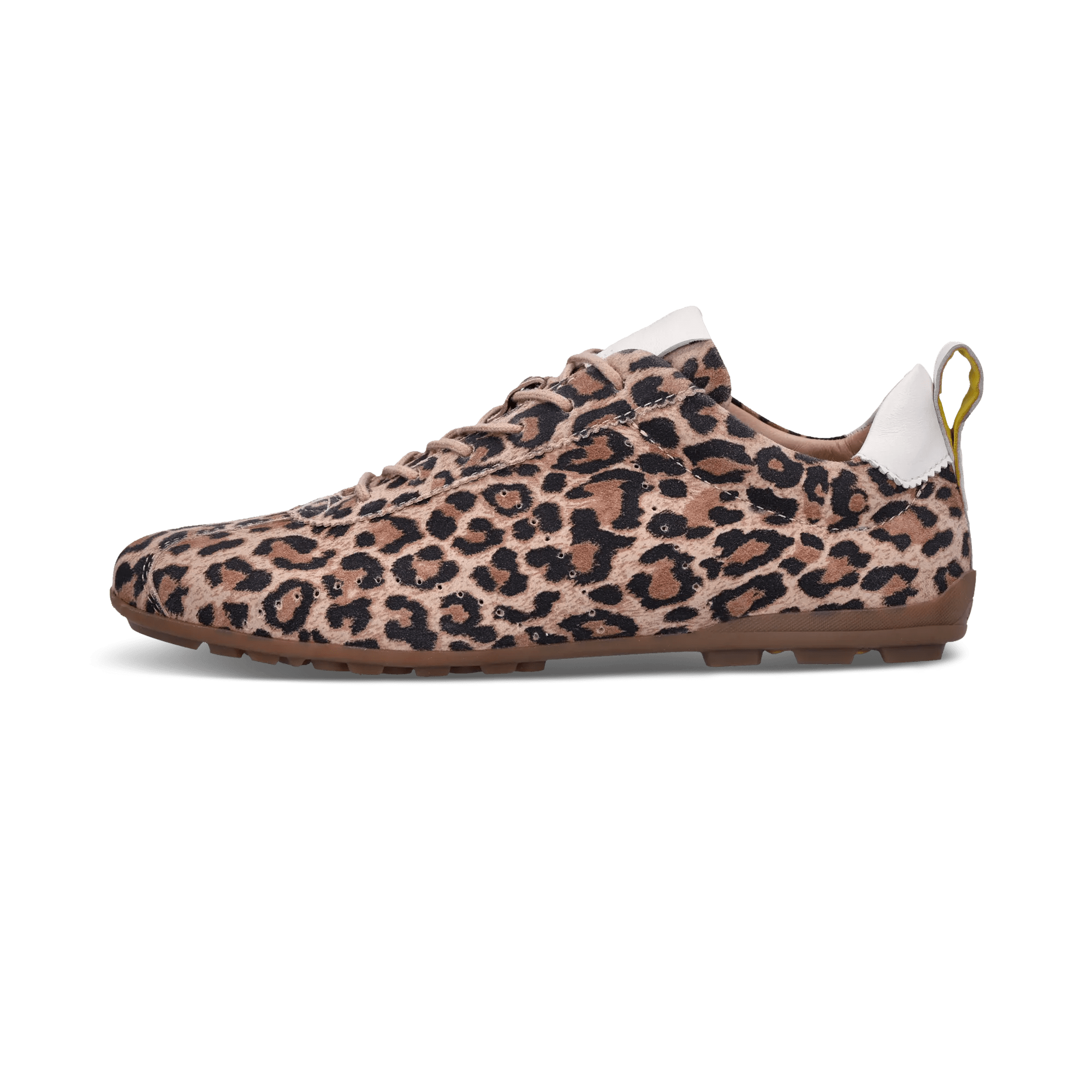 1/21/2026 10:52:58 AM