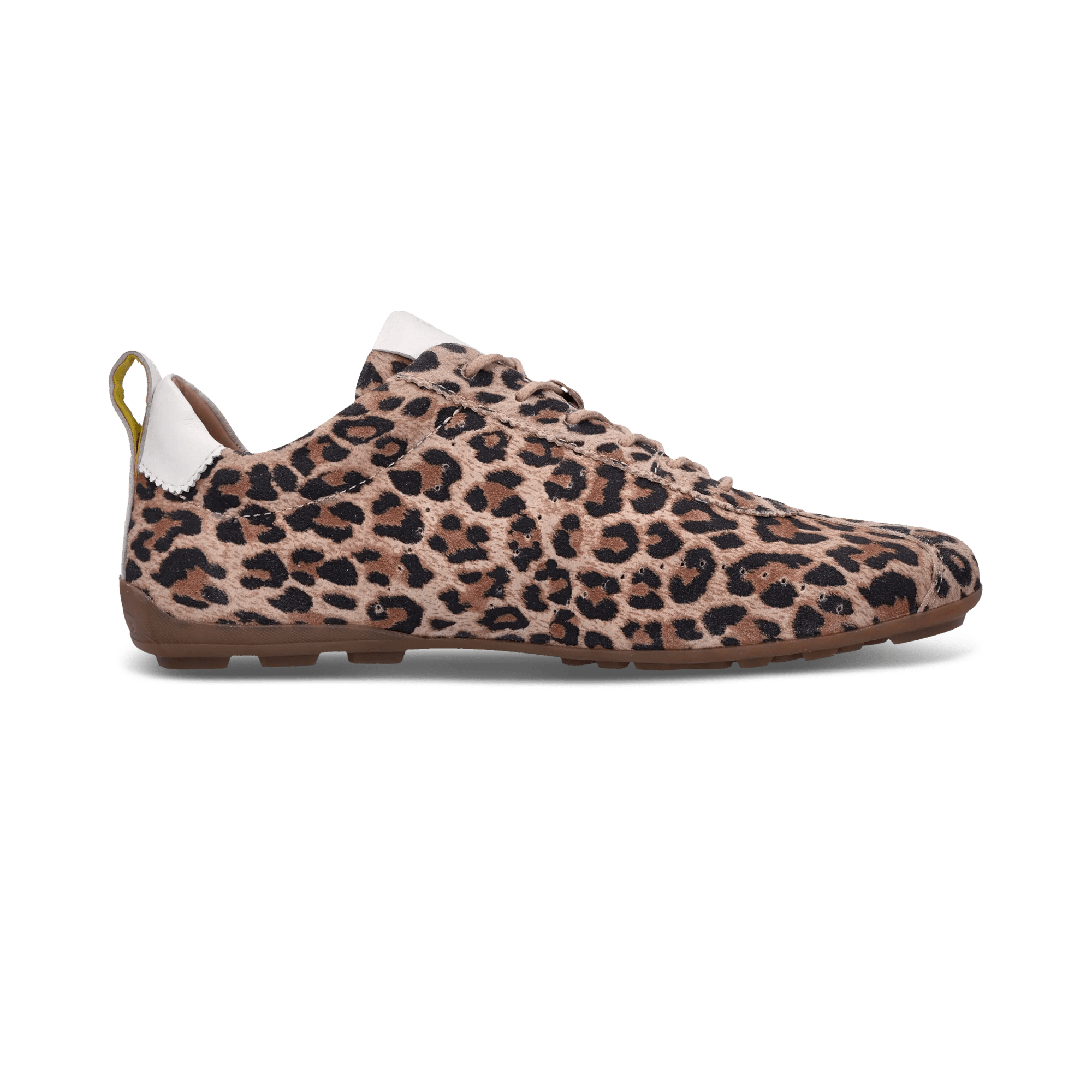 1/21/2026 10:52:58 AM