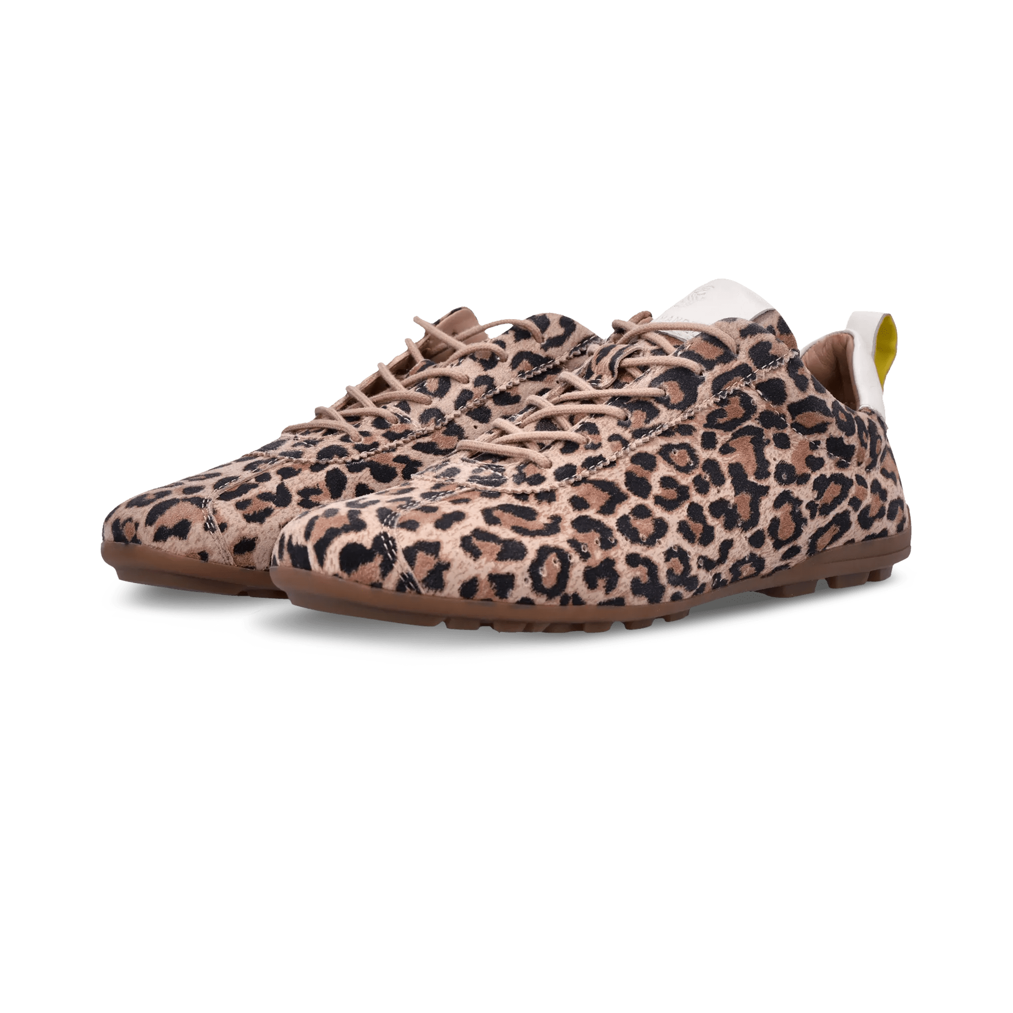 1/21/2026 10:52:58 AM