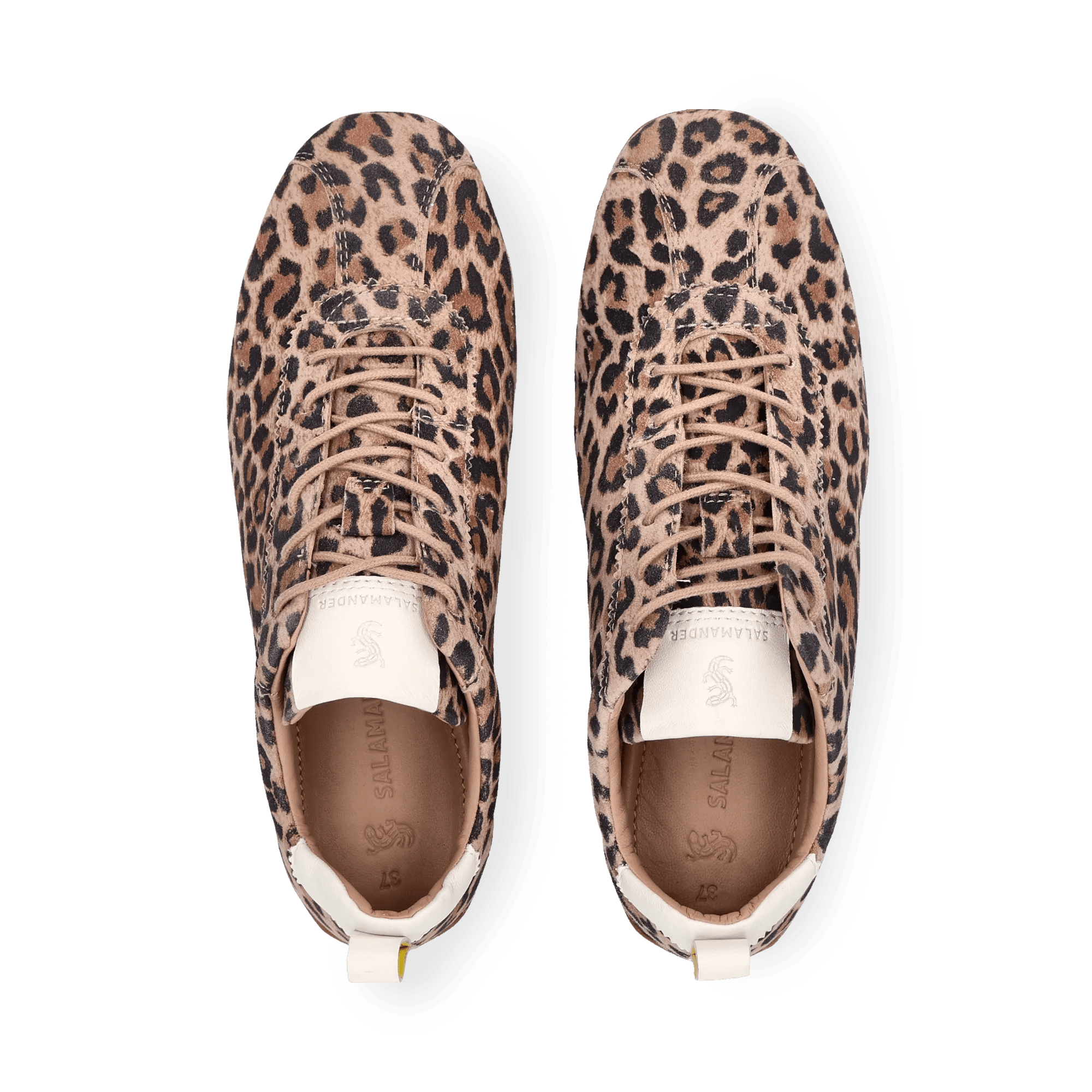 1/21/2026 10:52:58 AM