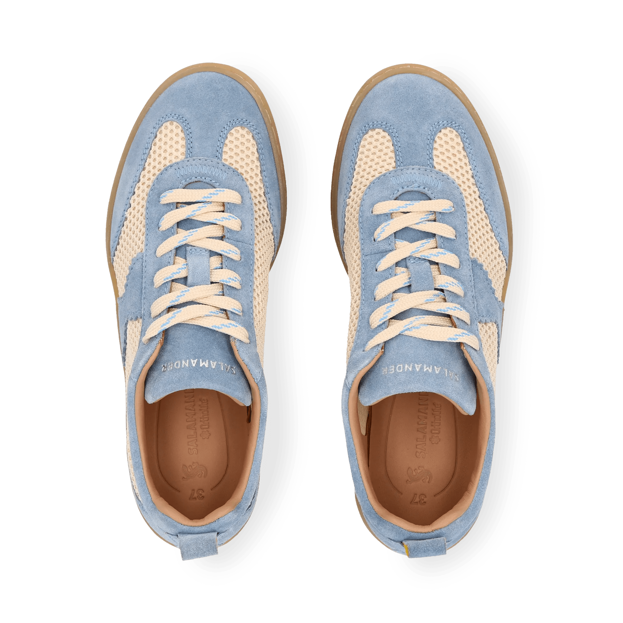 1/23/2026 9:18:43 AM