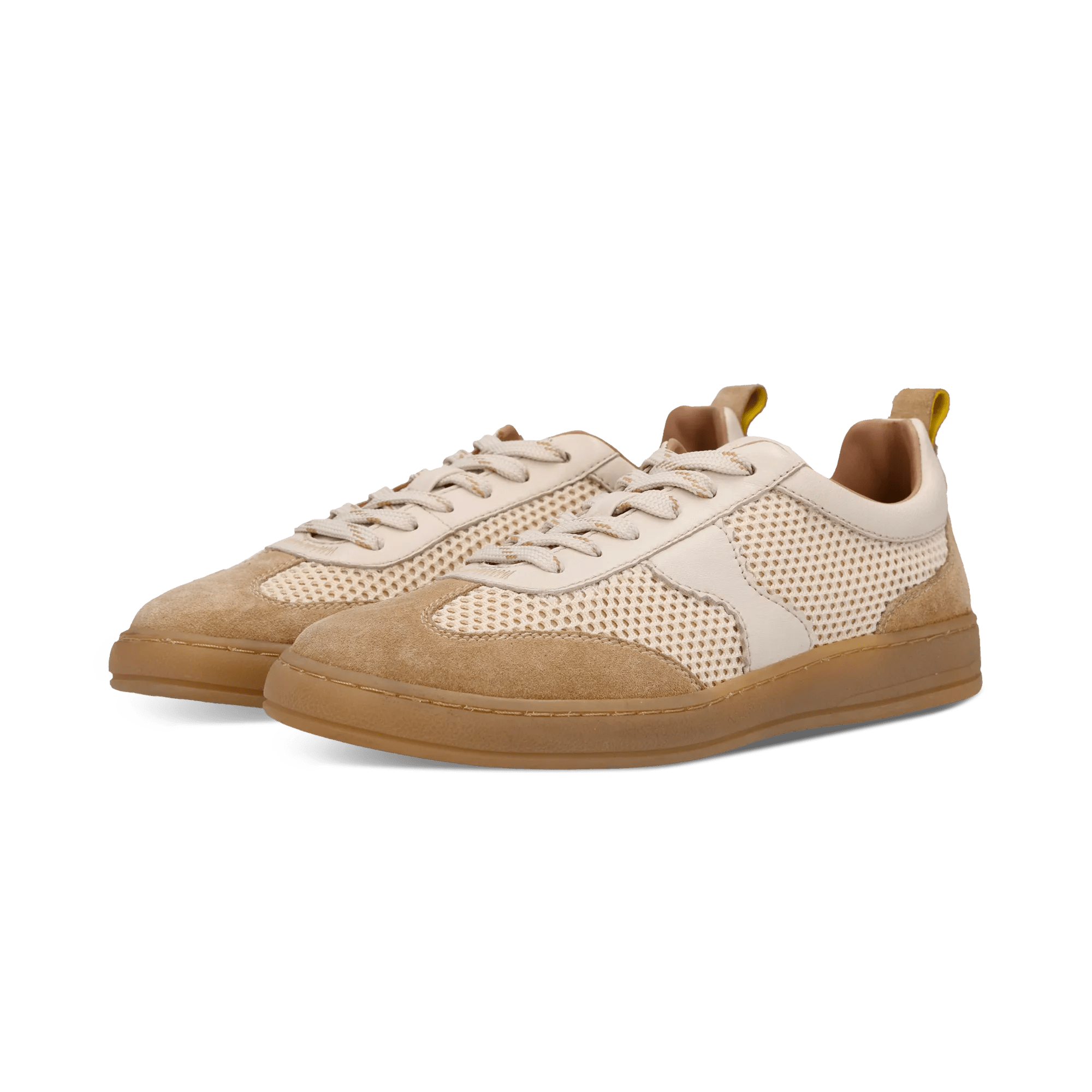 1/23/2026 9:18:44 AM