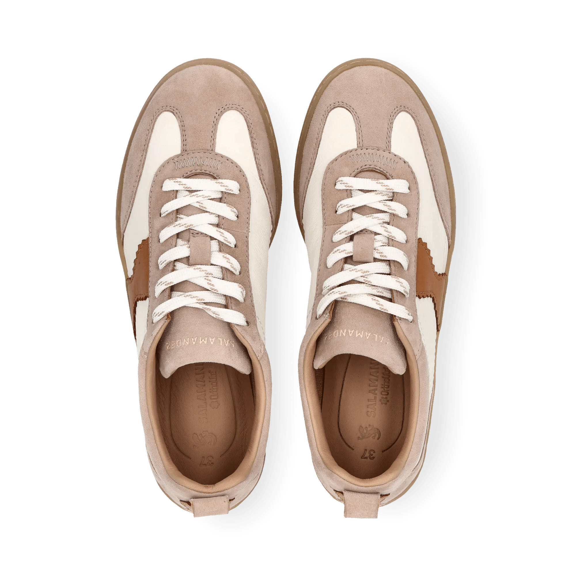 1/23/2026 9:18:42 AM