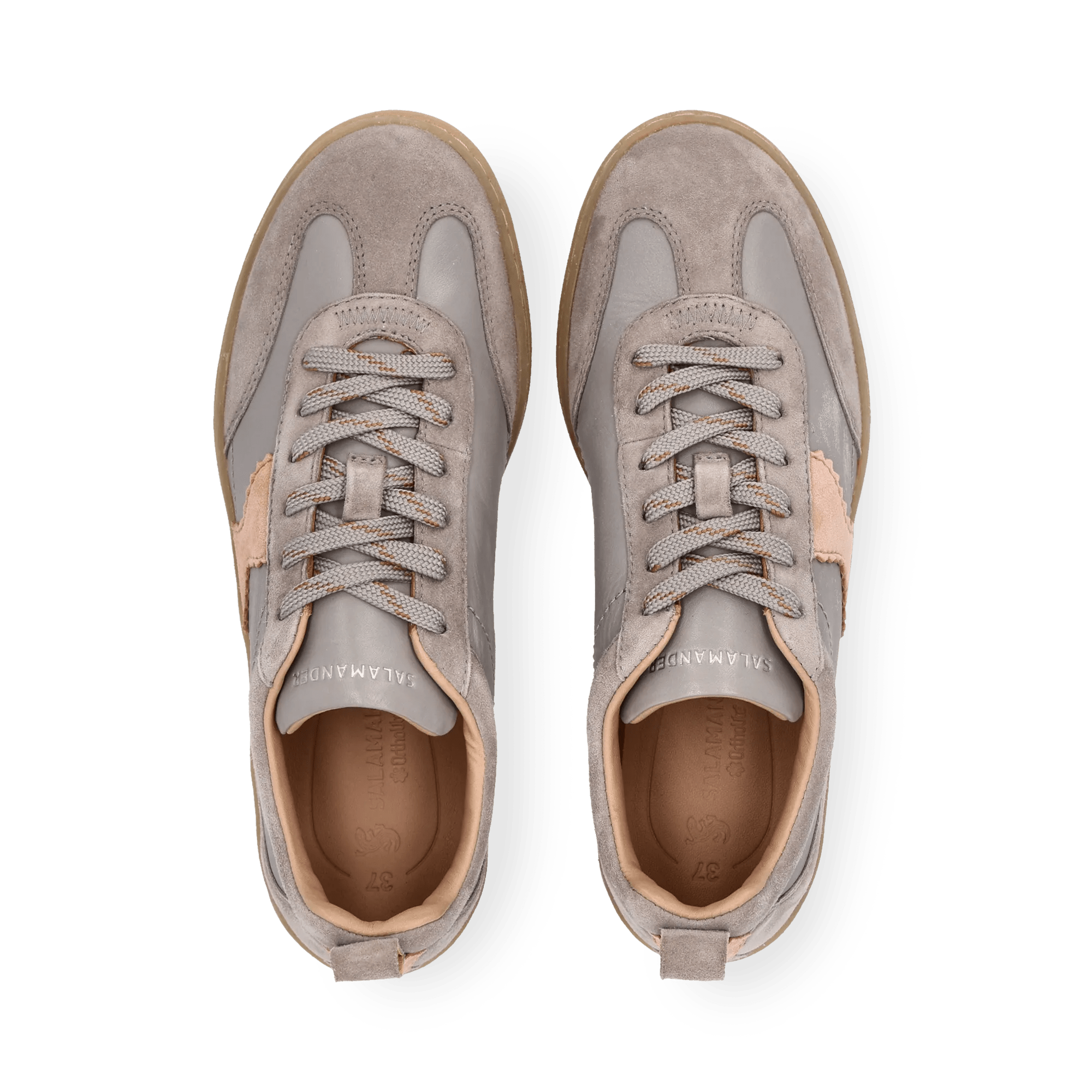 1/23/2026 9:18:41 AM