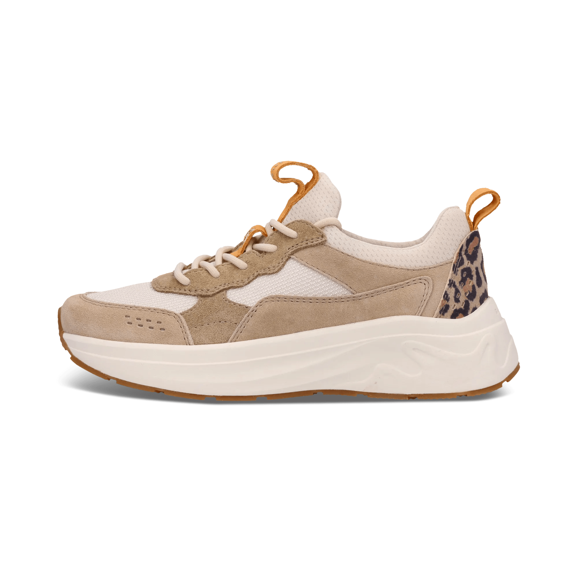 1/23/2026 9:18:40 AM