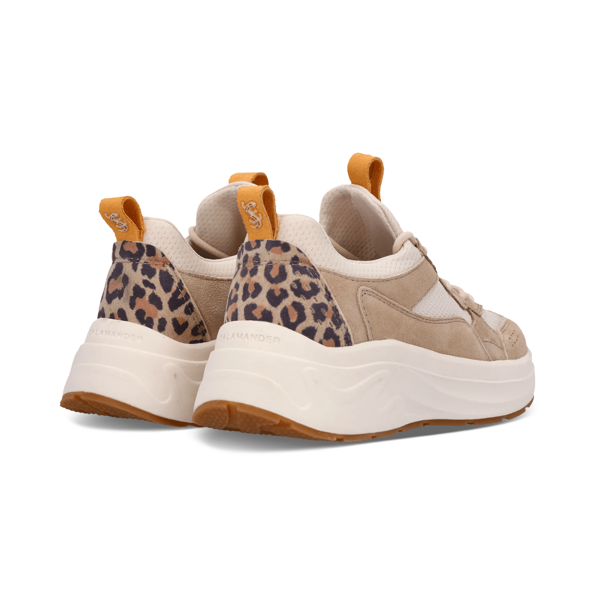 1/23/2026 9:18:40 AM