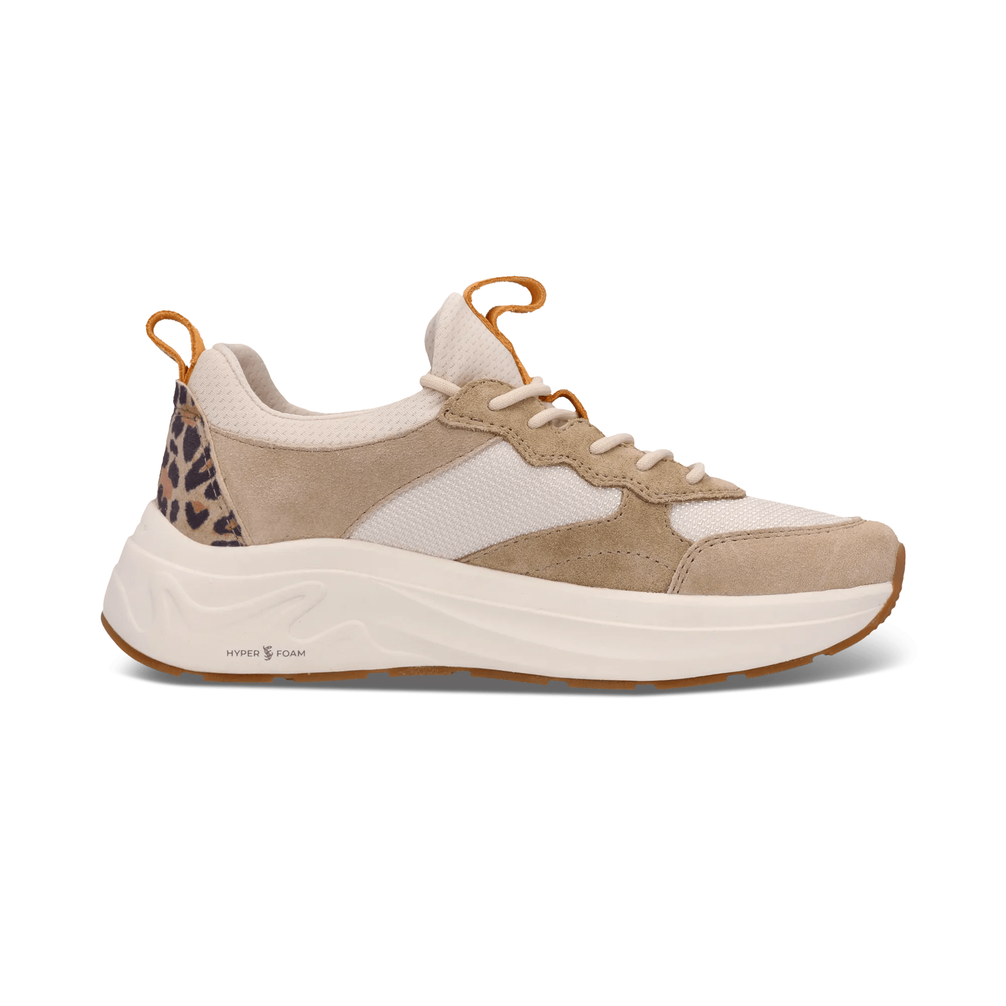 1/23/2026 9:18:40 AM