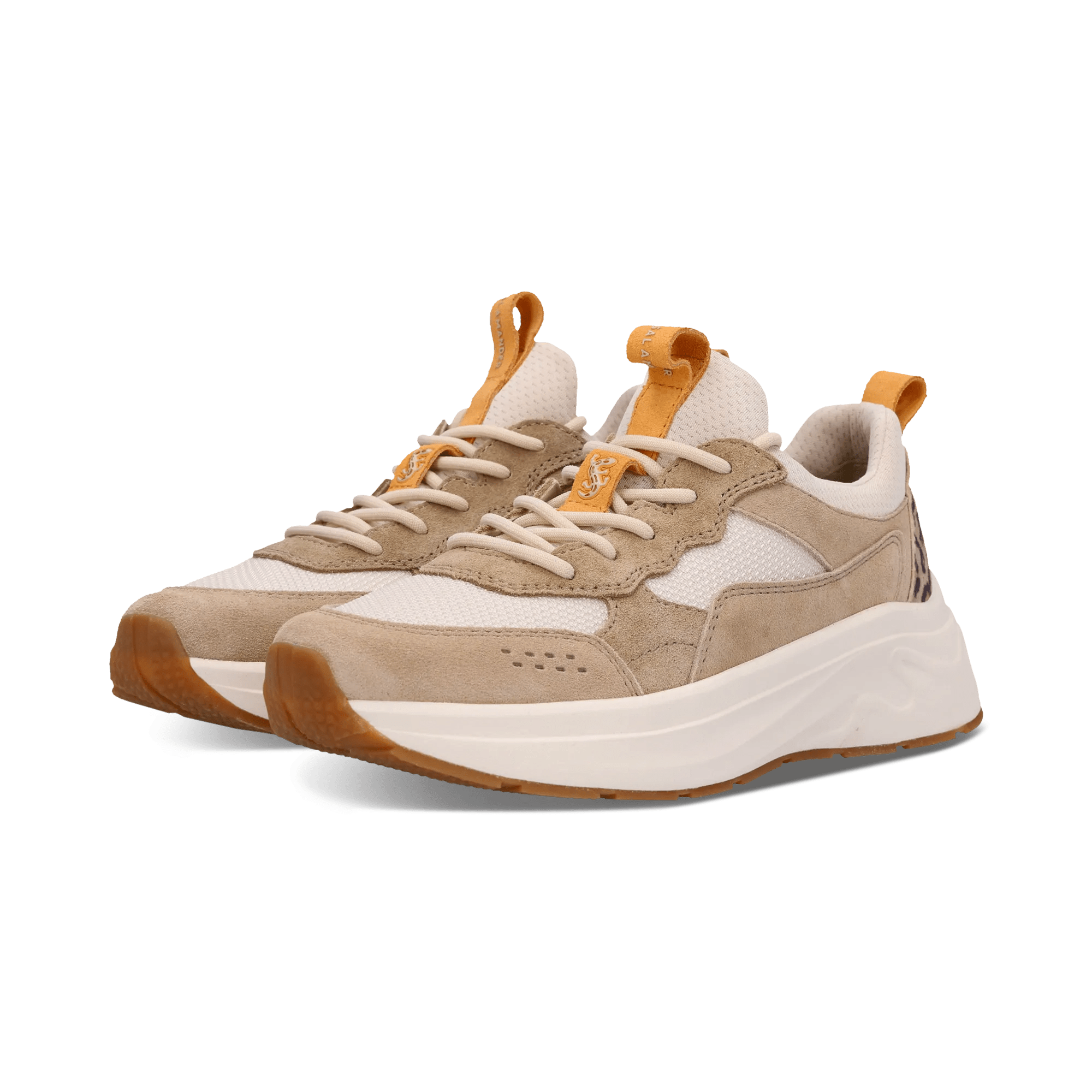 1/23/2026 9:18:40 AM