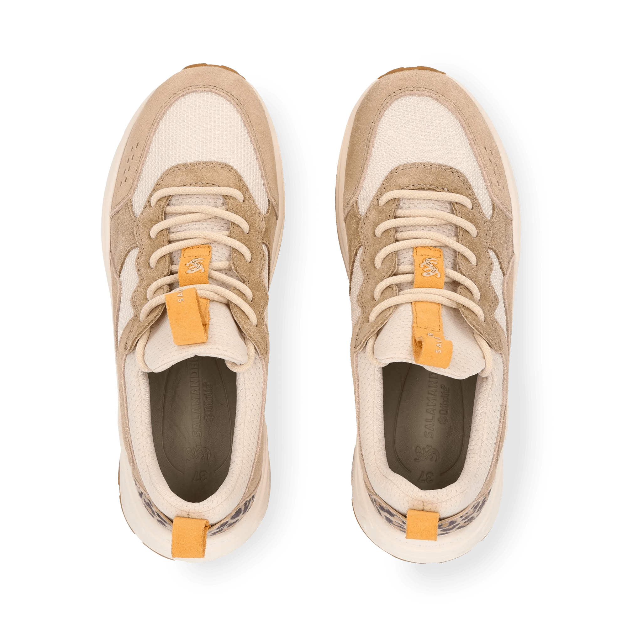 1/23/2026 9:18:40 AM