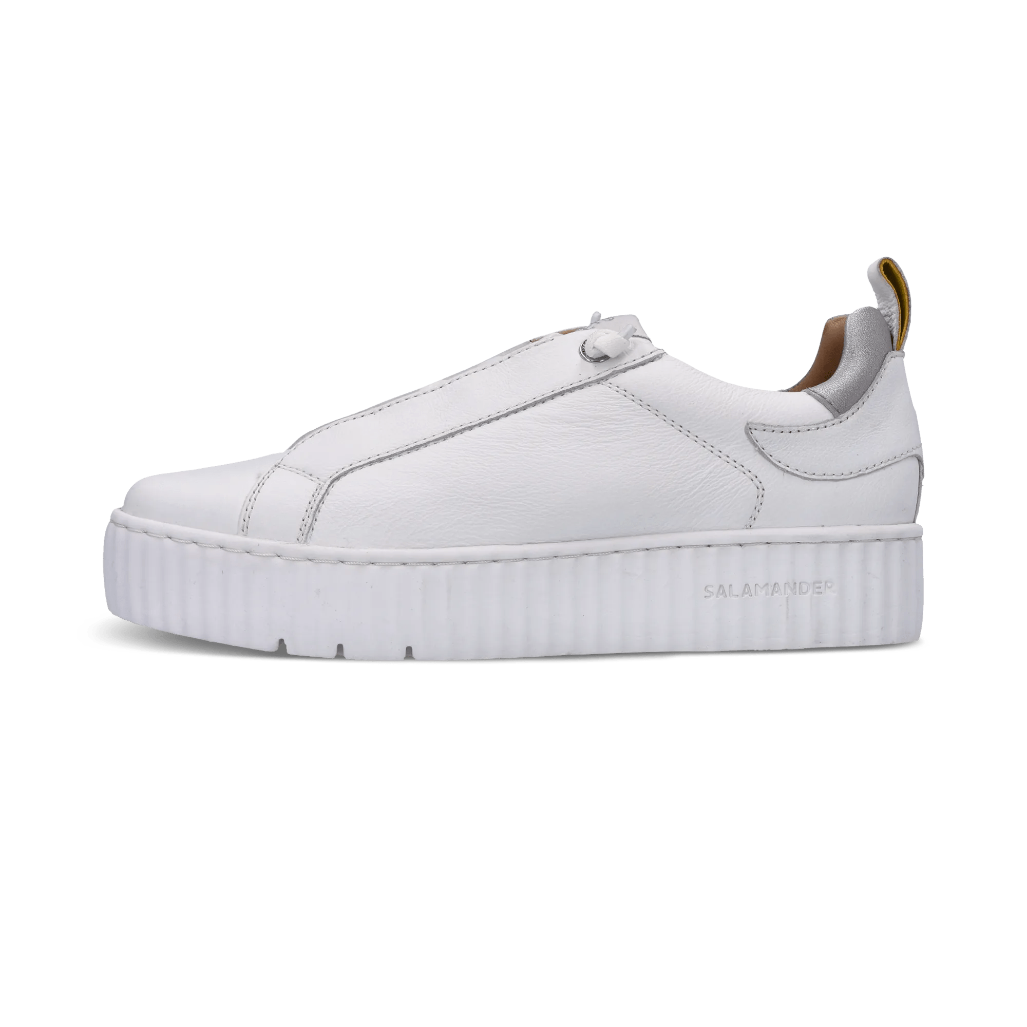 1/21/2026 10:06:33 AM