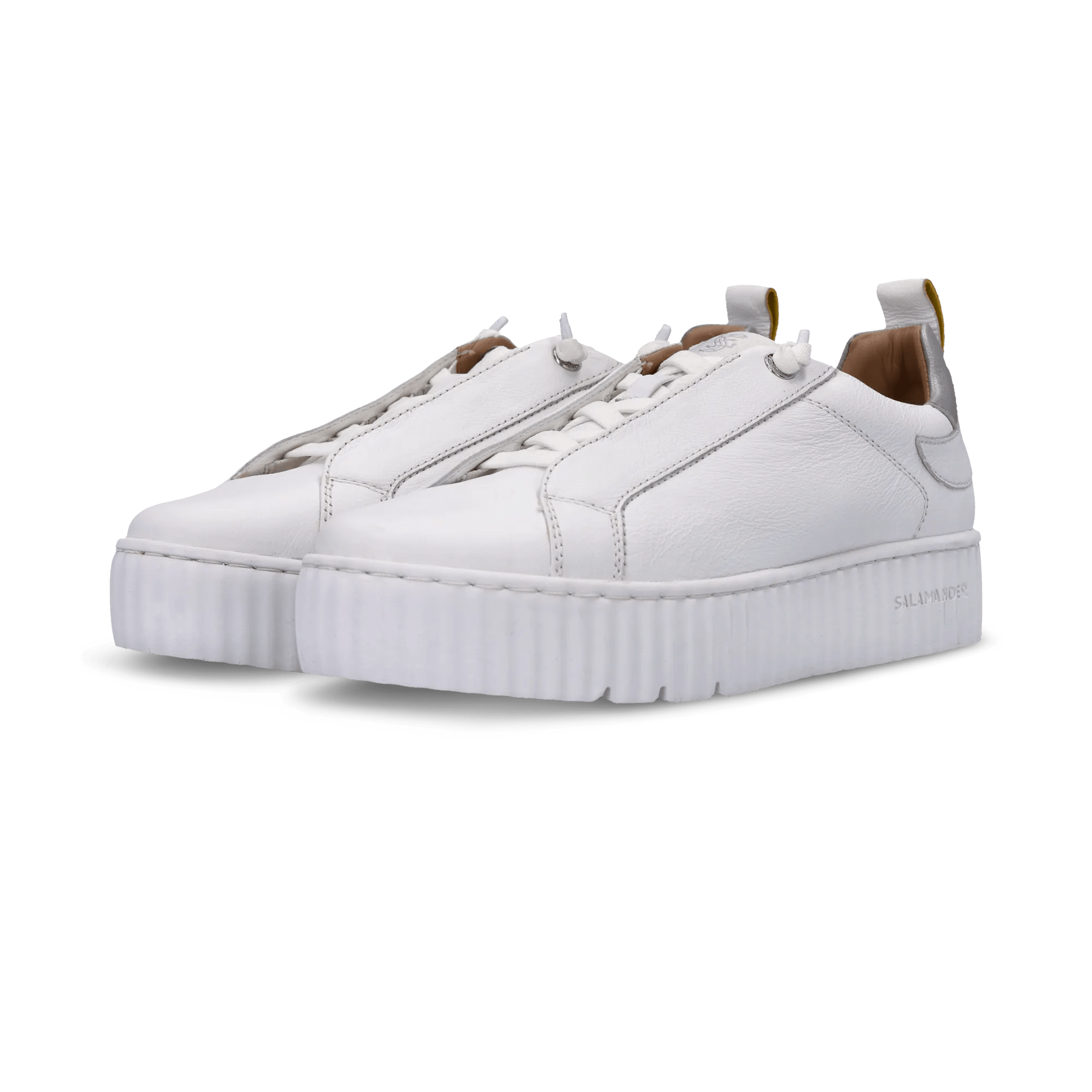 1/21/2026 10:06:33 AM